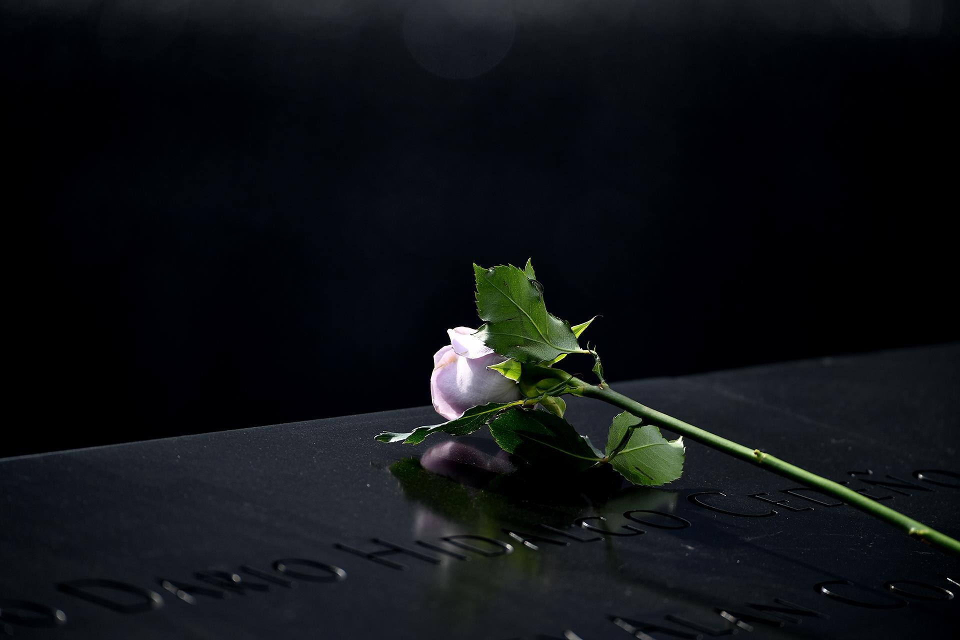 du lich My hai bo dong tay anh 39