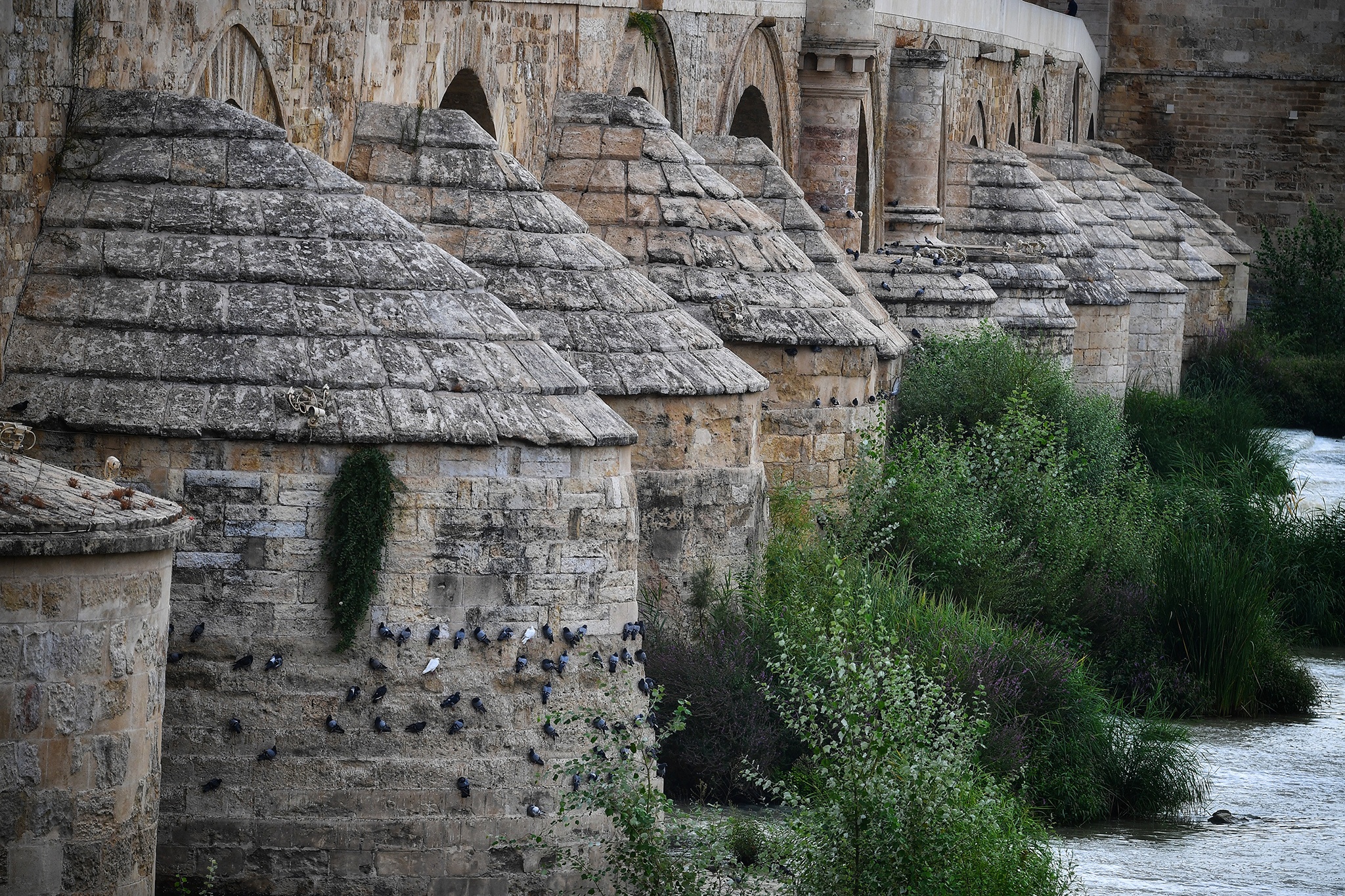 du lich Toledo va Cordoba o Tay Ban Nha anh 16