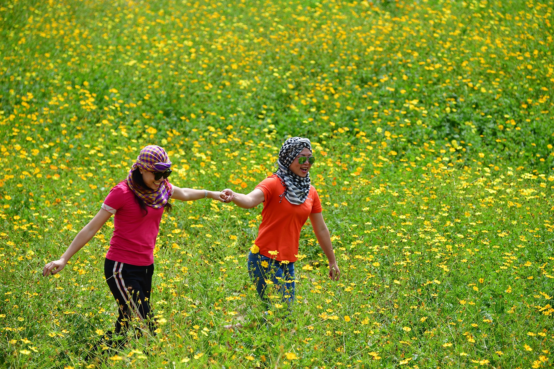 du lịch Ninh Thuận ảnh 16 du lich Ninh Thuan anh 16