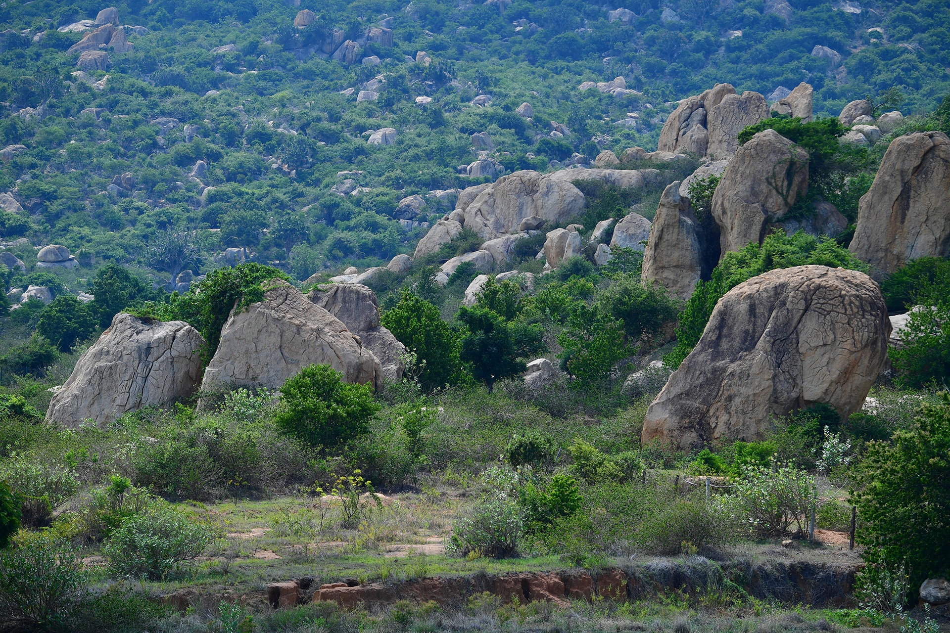 du lịch Ninh Thuận ảnh 15 du lich Ninh Thuan anh 15