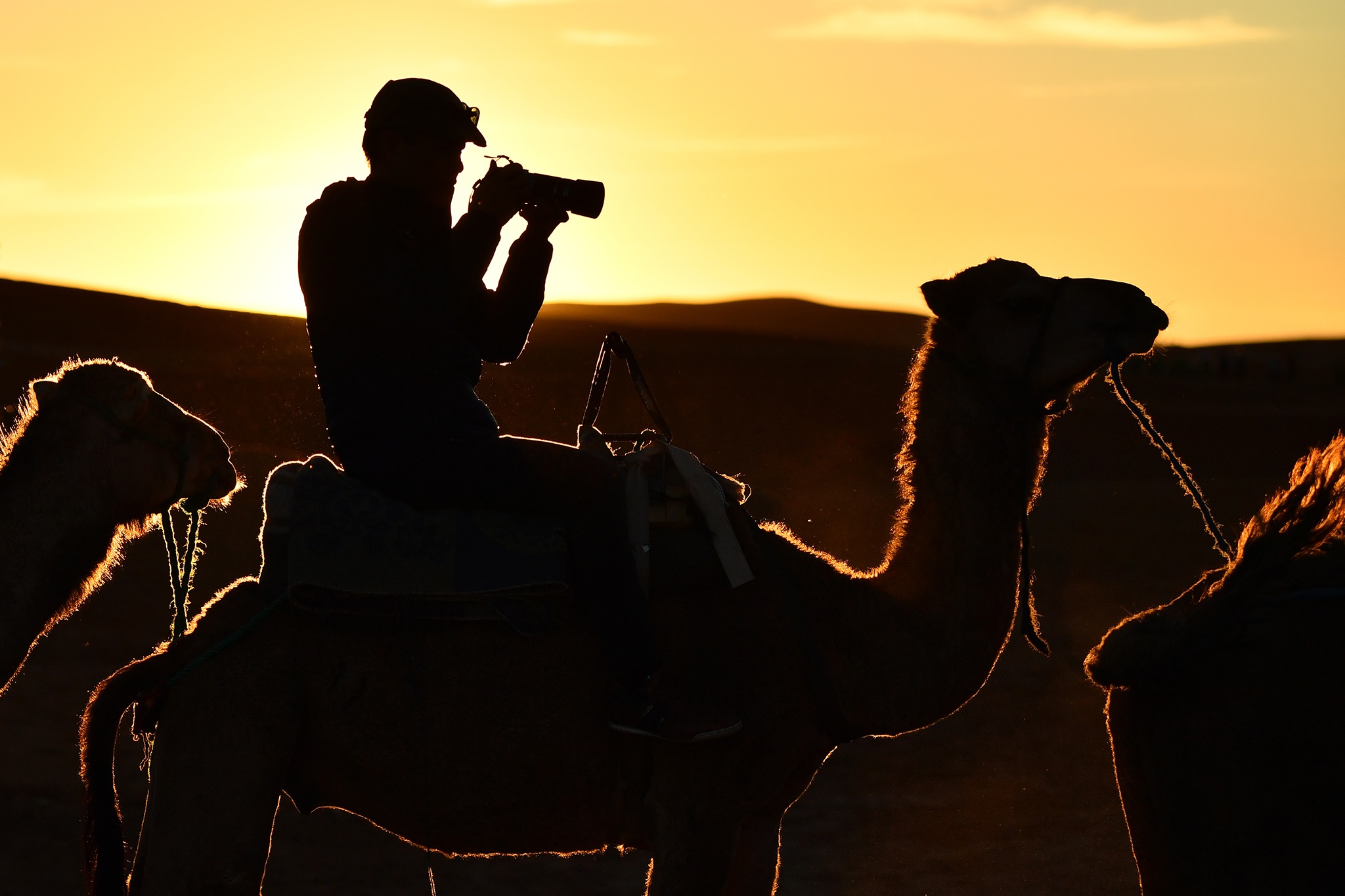cuoi lac da o sa mac Sahara anh 11