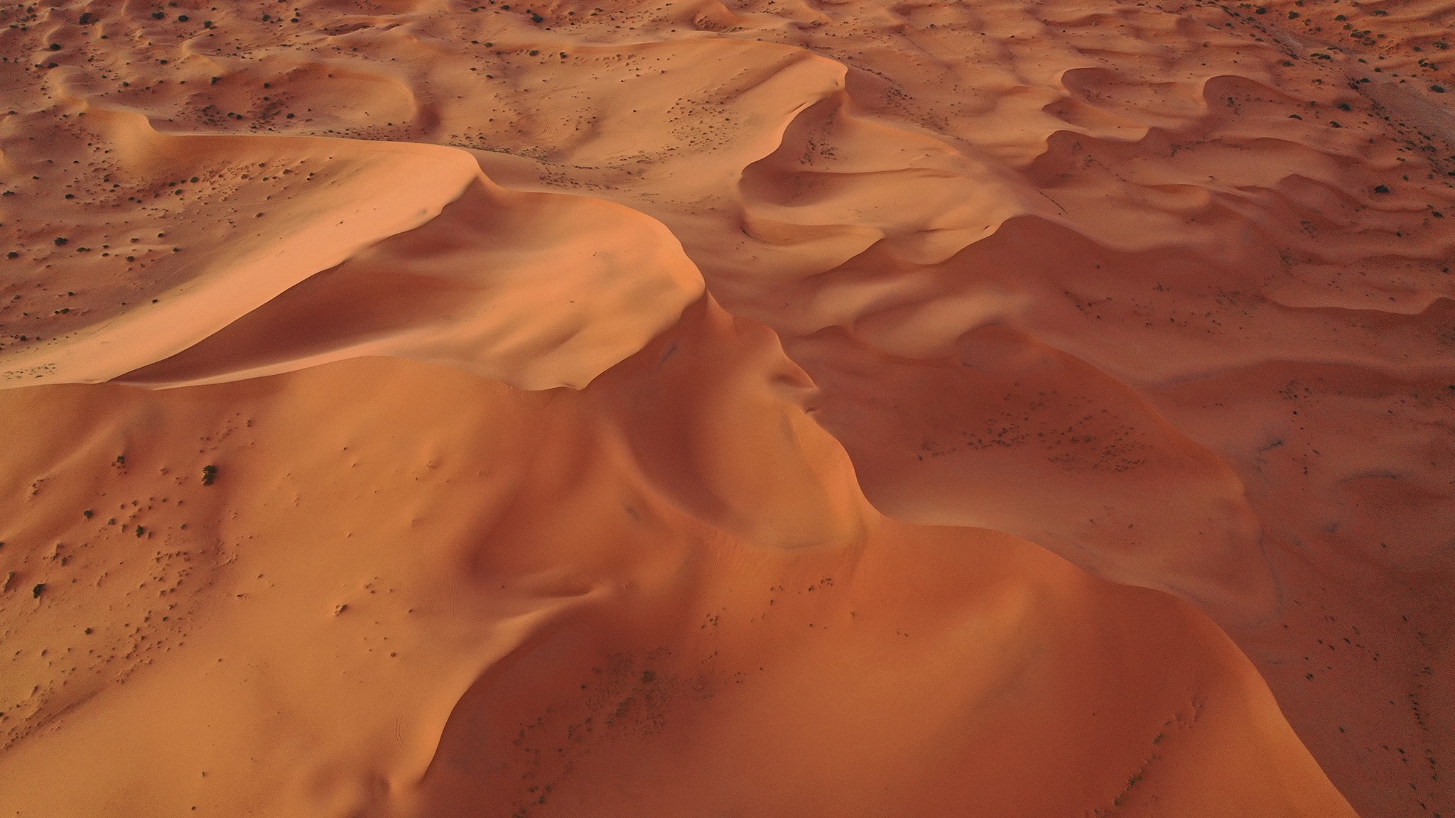 cuoi lac da o sa mac Sahara anh 31