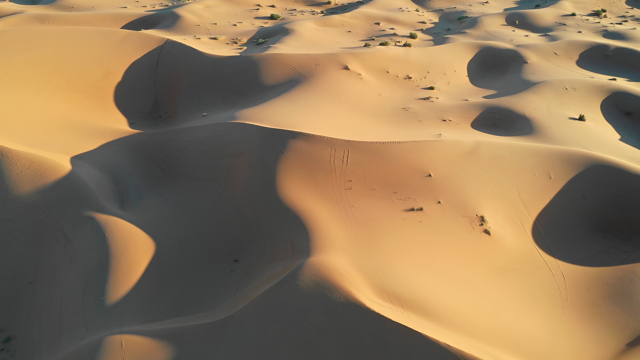 cuoi lac da o sa mac Sahara anh 34