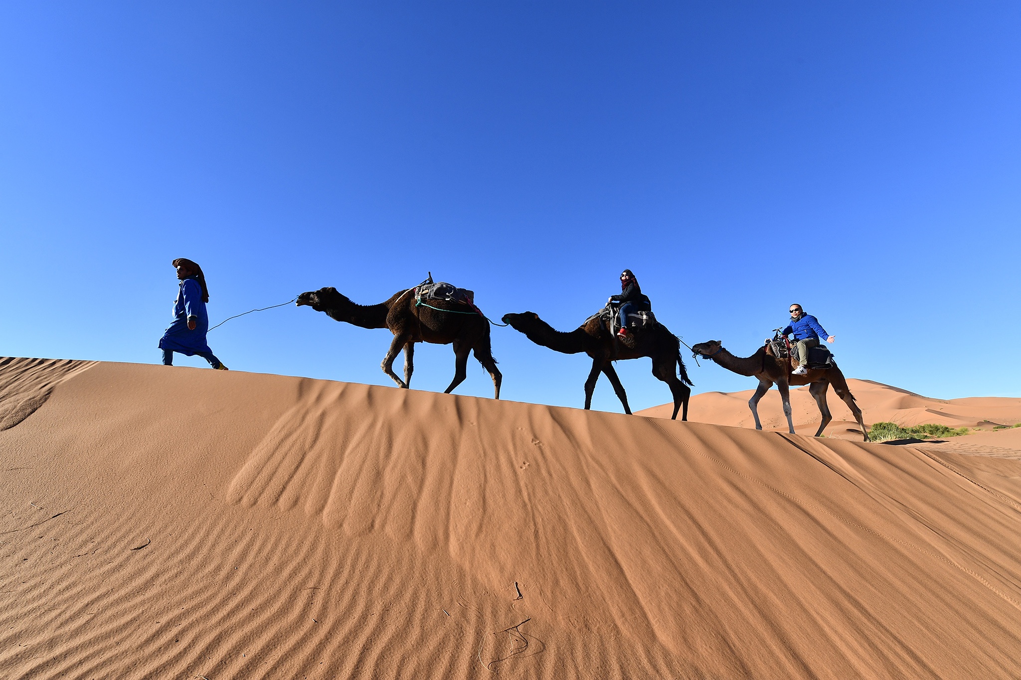 cuoi lac da o sa mac Sahara anh 43