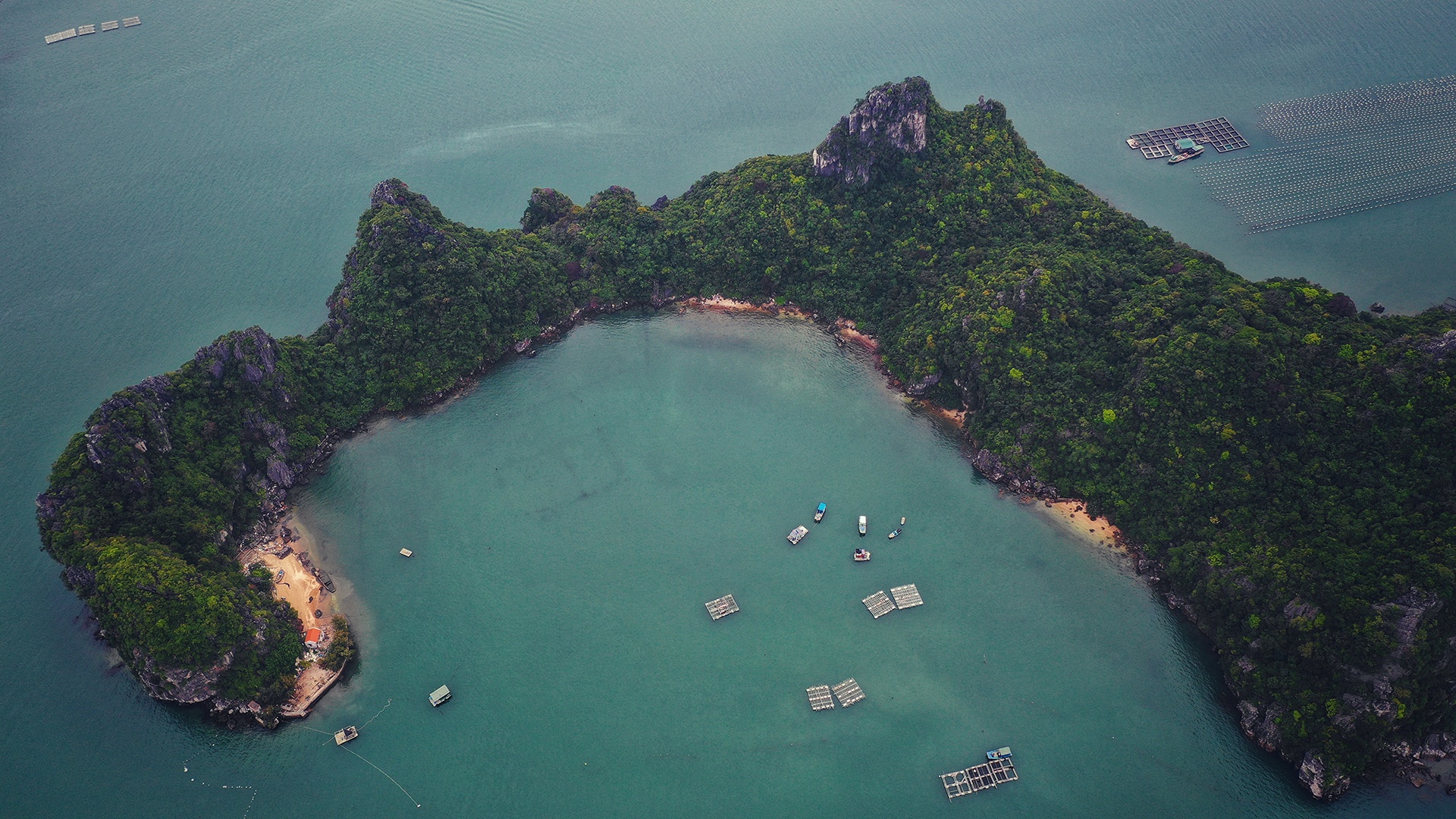 leo nui lan bien o Quang Ninh anh 10