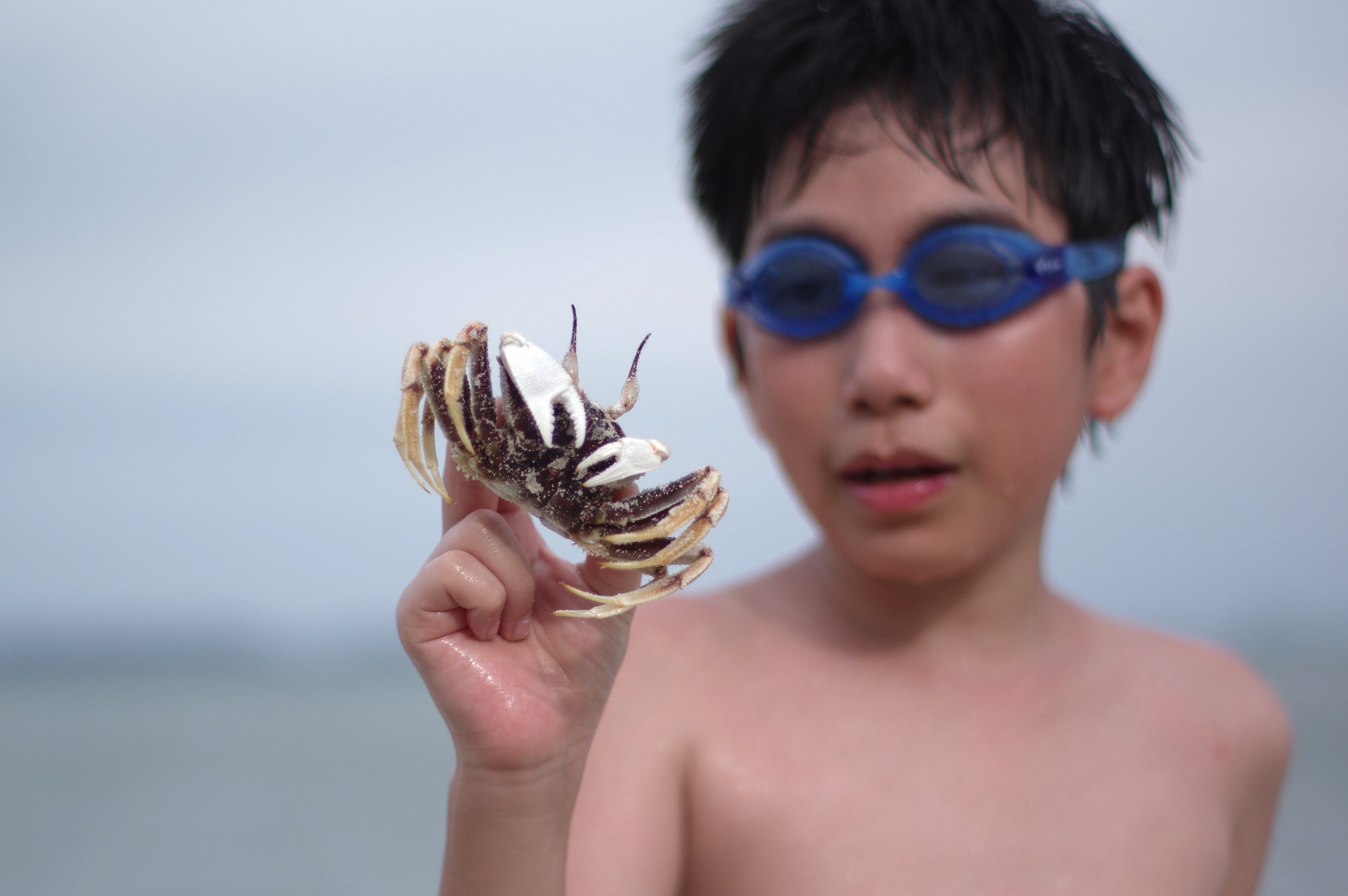 leo nui lan bien o Quang Ninh anh 7