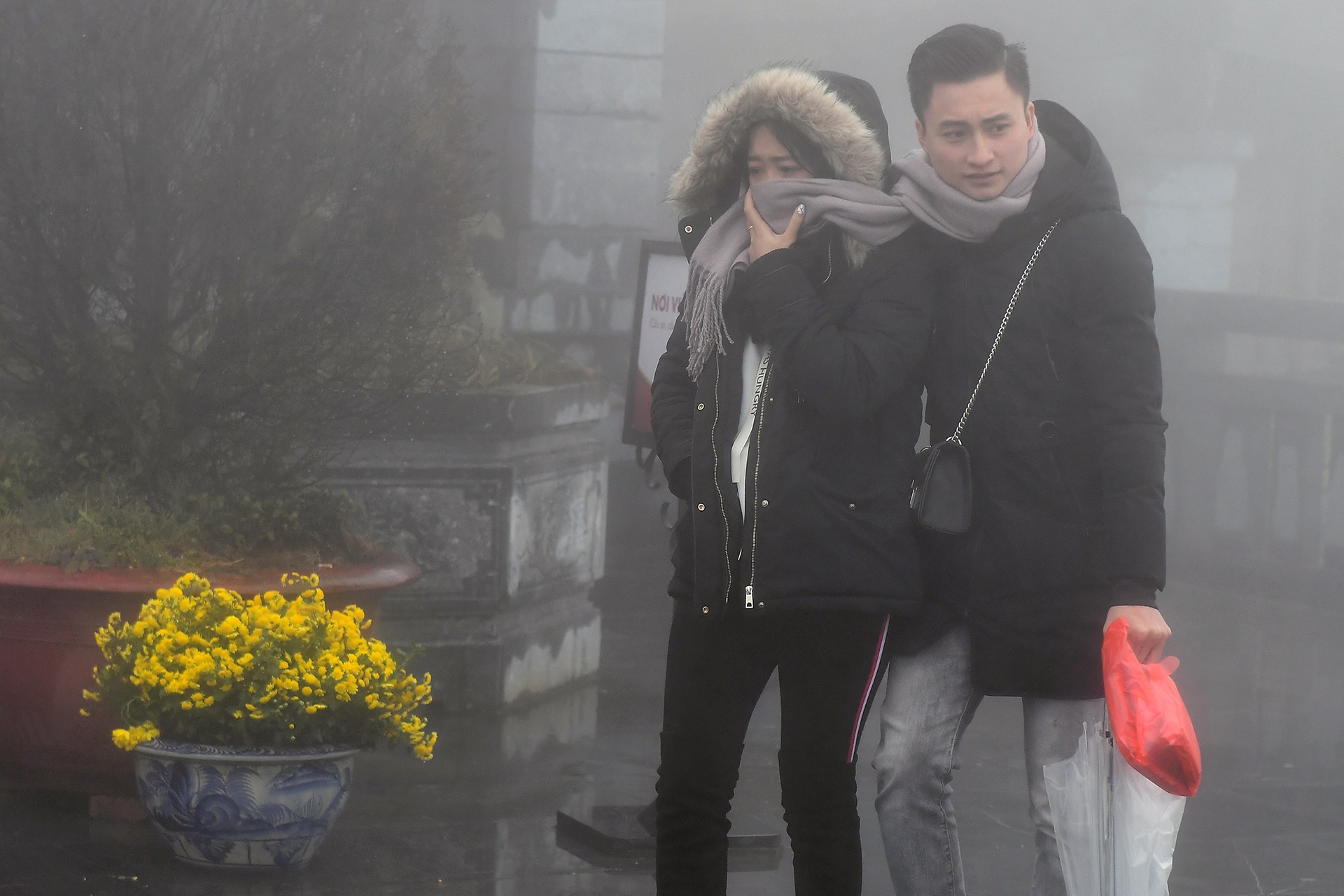 len dinh Fansipan anh 12