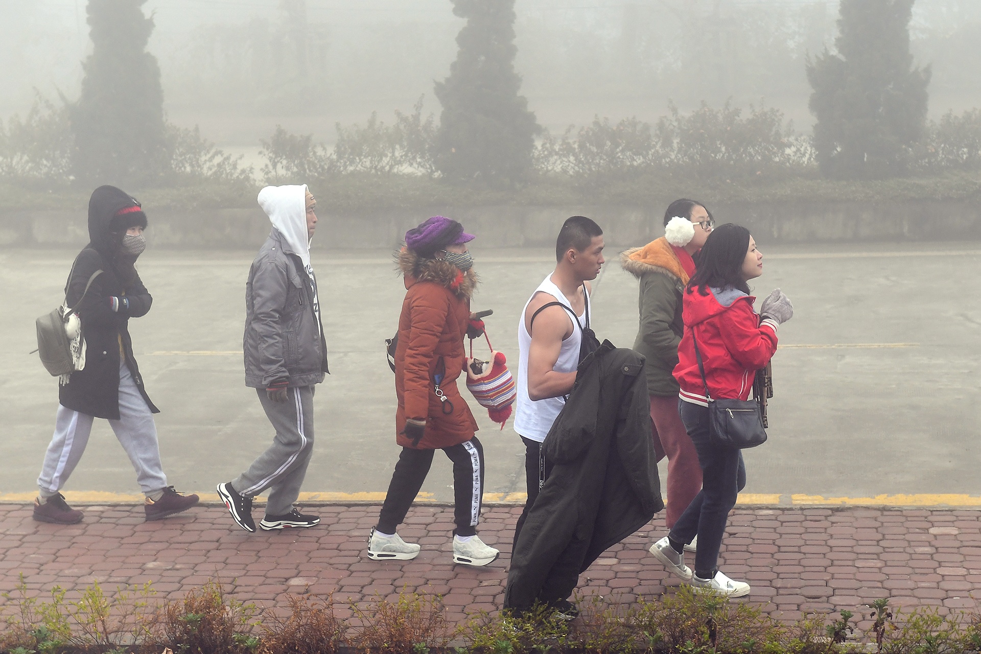 len dinh Fansipan anh 6