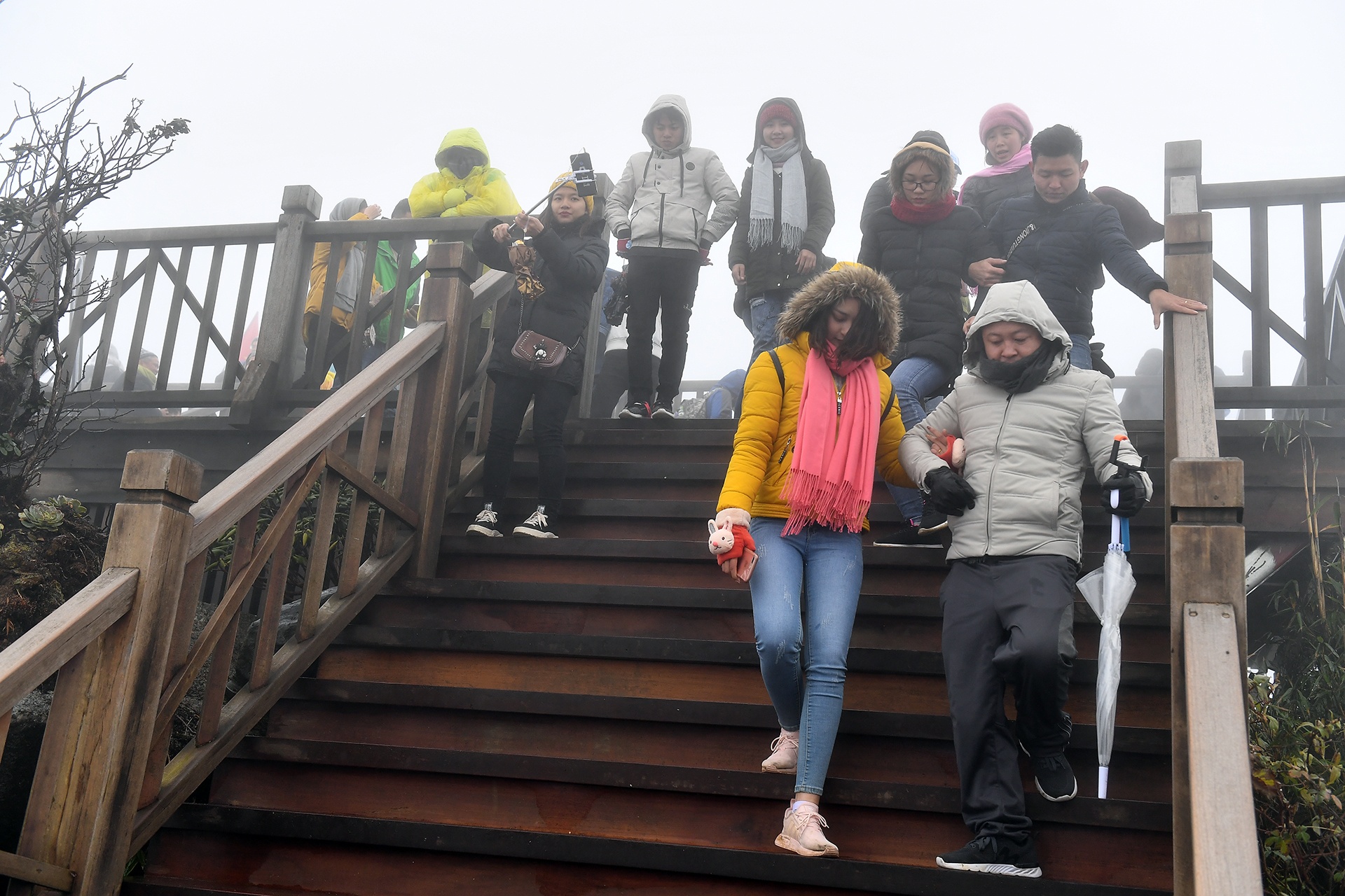 len dinh Fansipan anh 9