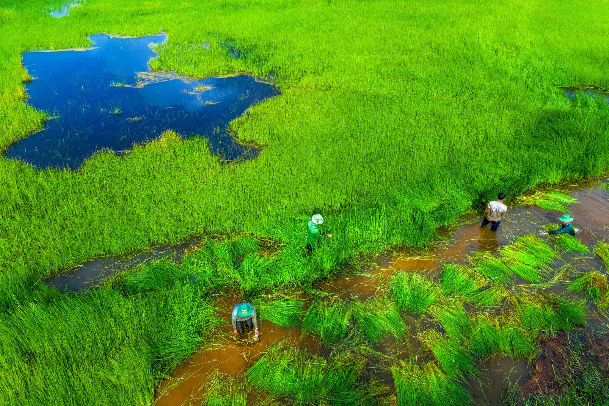 ve dep cac vung dat Viet Nam anh 57