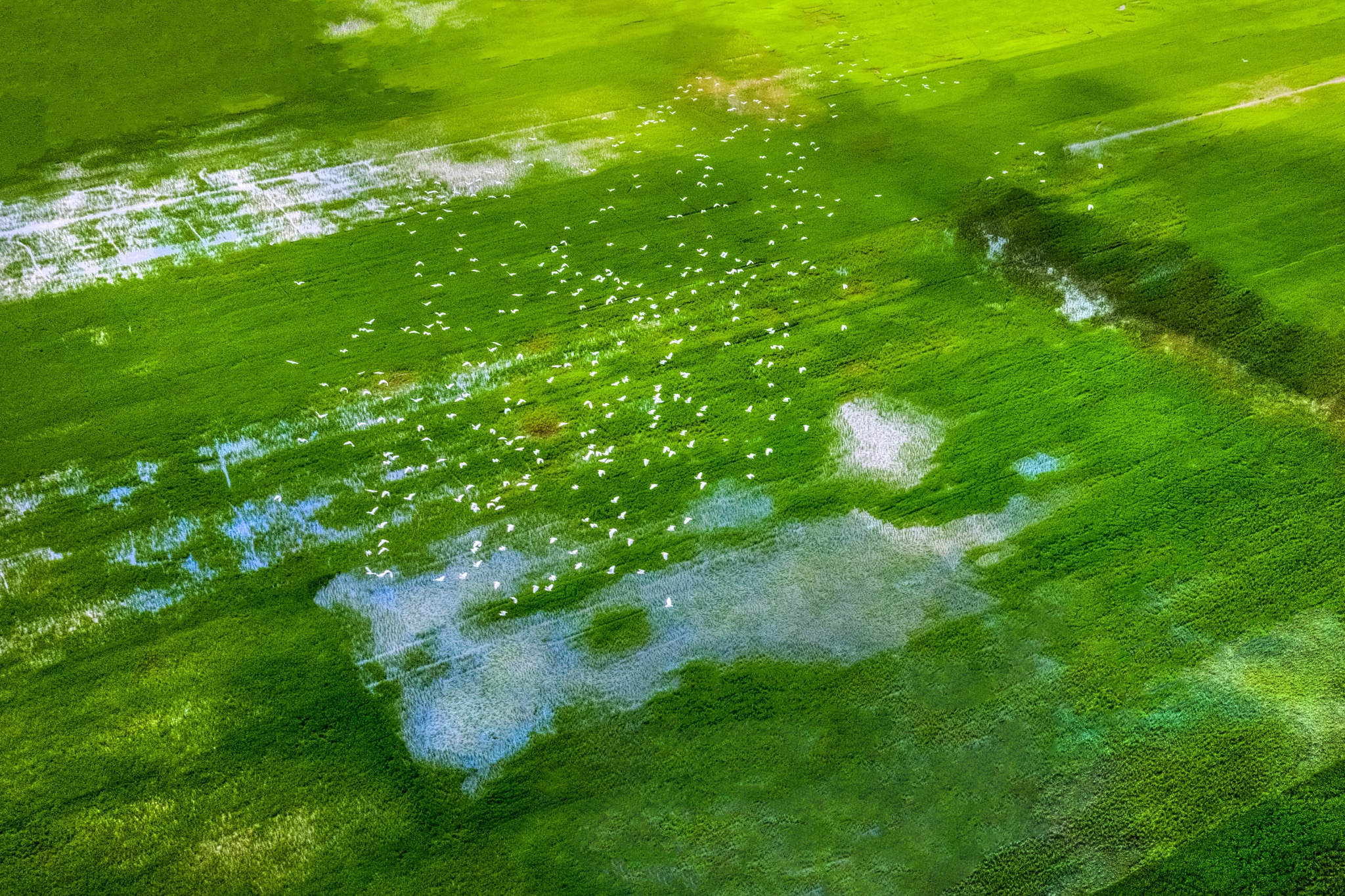 ve dep cac vung dat Viet Nam anh 59