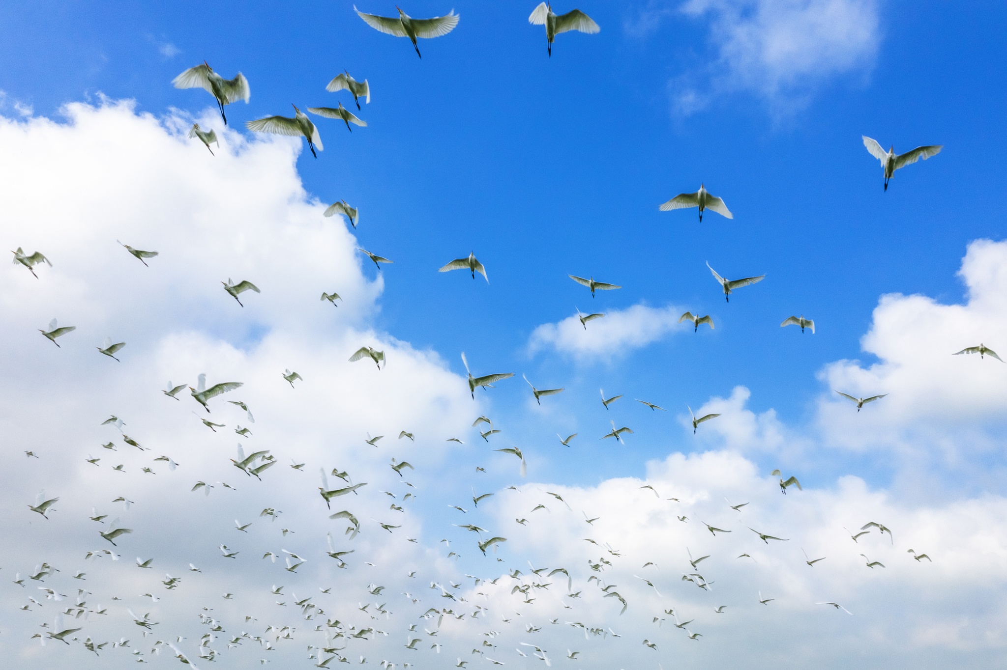 ve dep cac vung dat Viet Nam anh 55