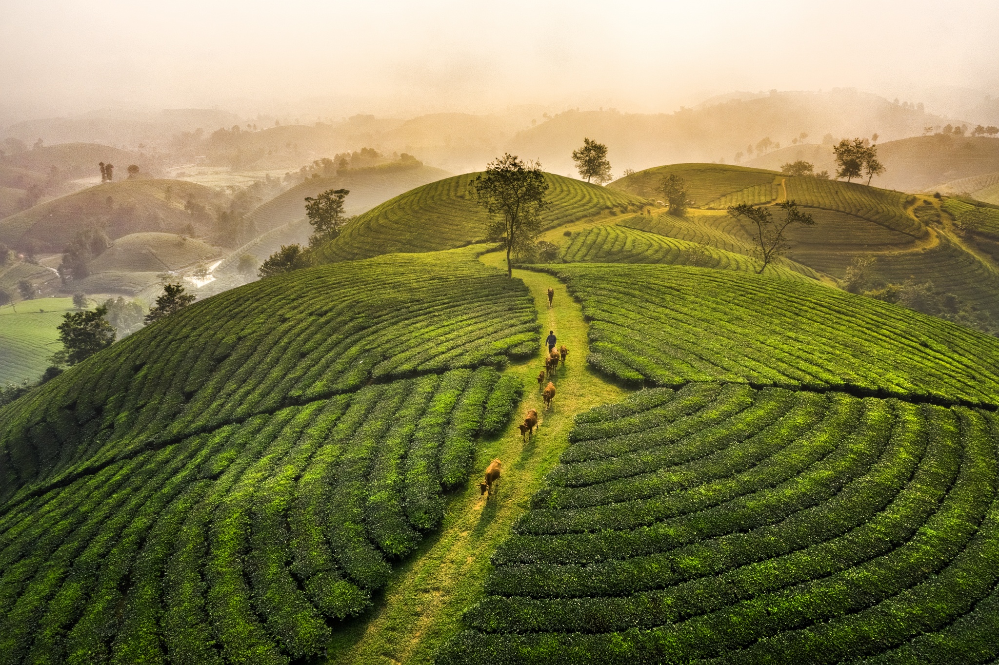 ve dep cac vung dat Viet Nam anh 15