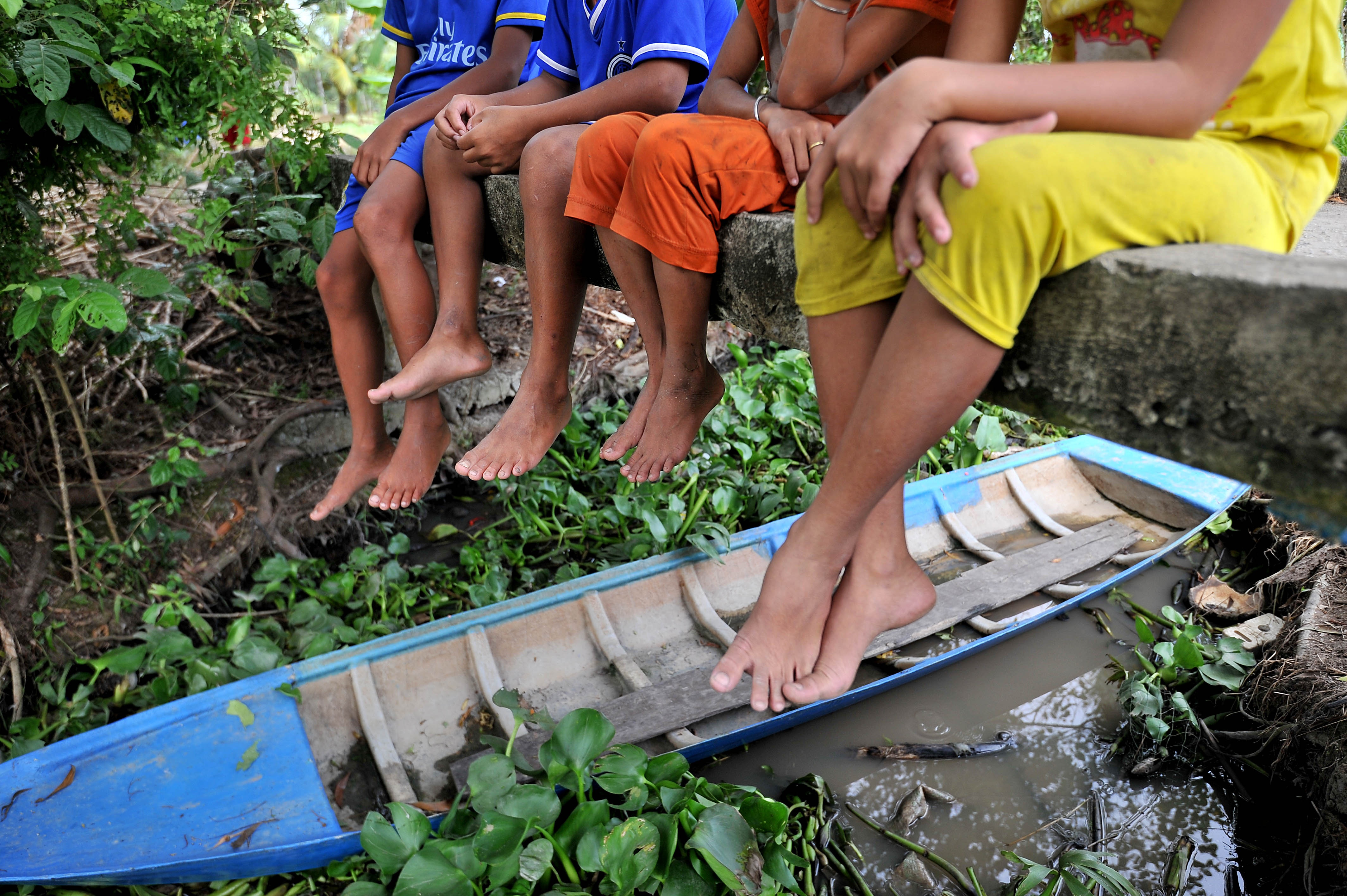 co be mat xanh o Kien Giang anh 14