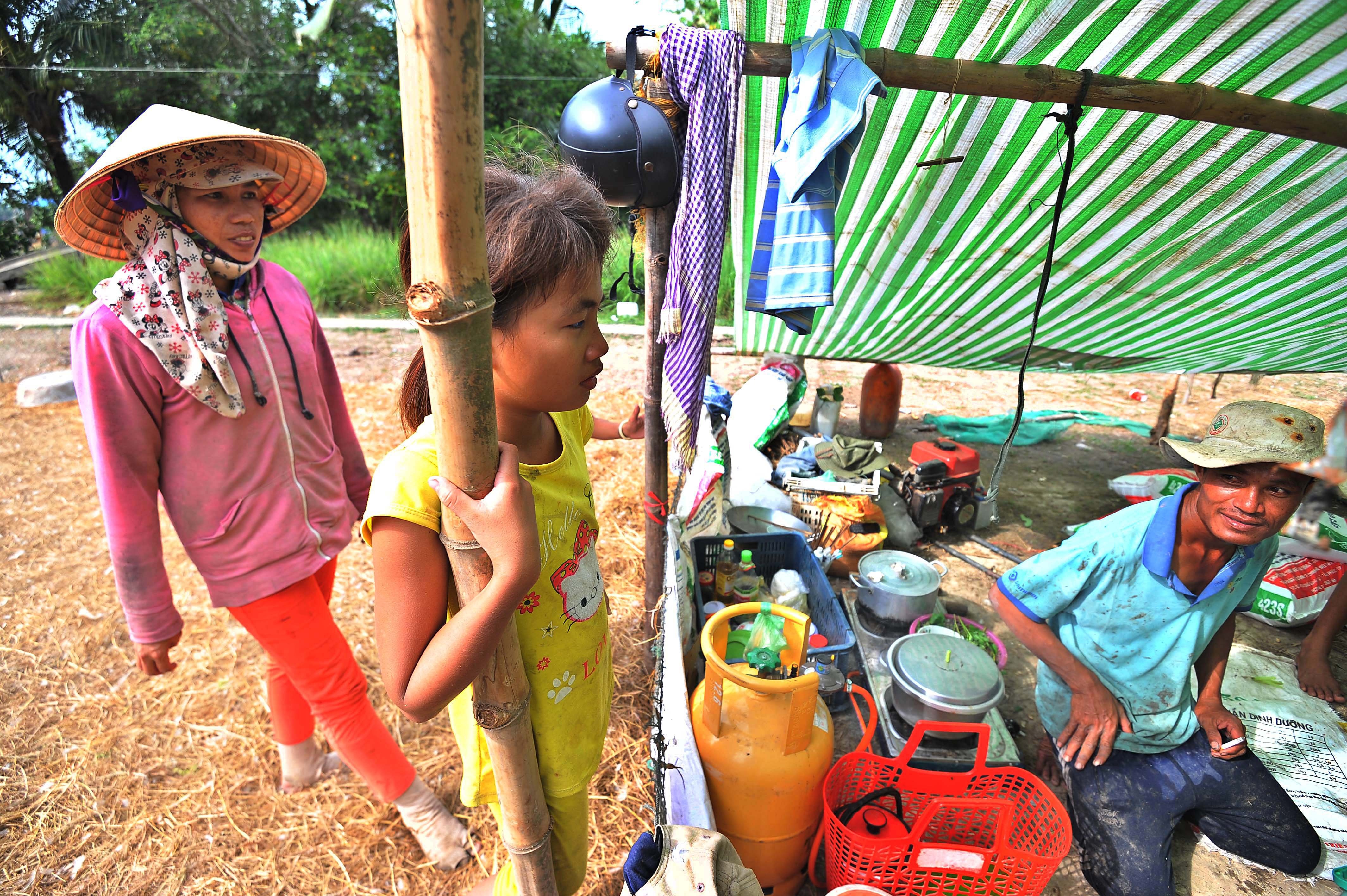 co be mat xanh o Kien Giang anh 19