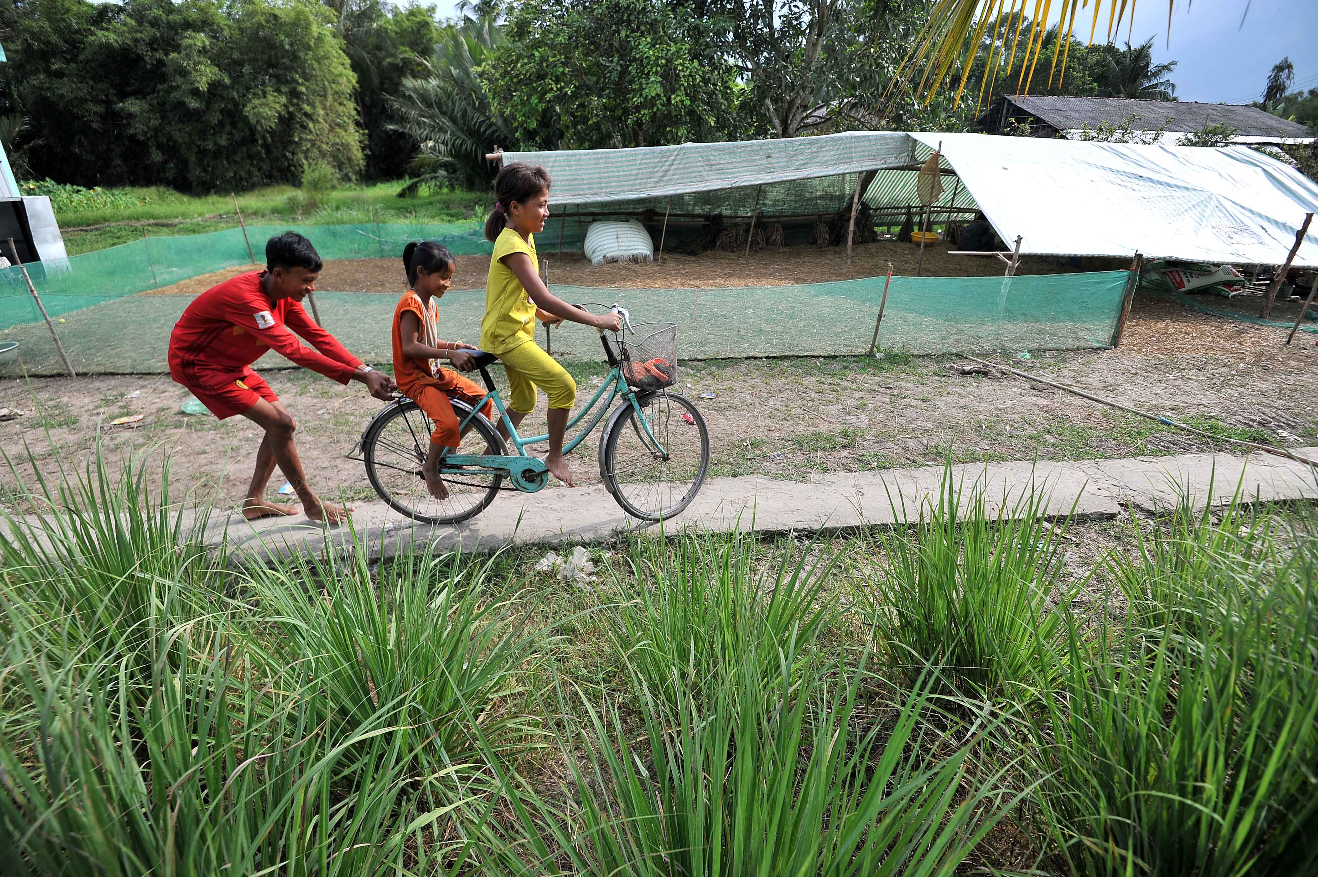 co be mat xanh o Kien Giang anh 20