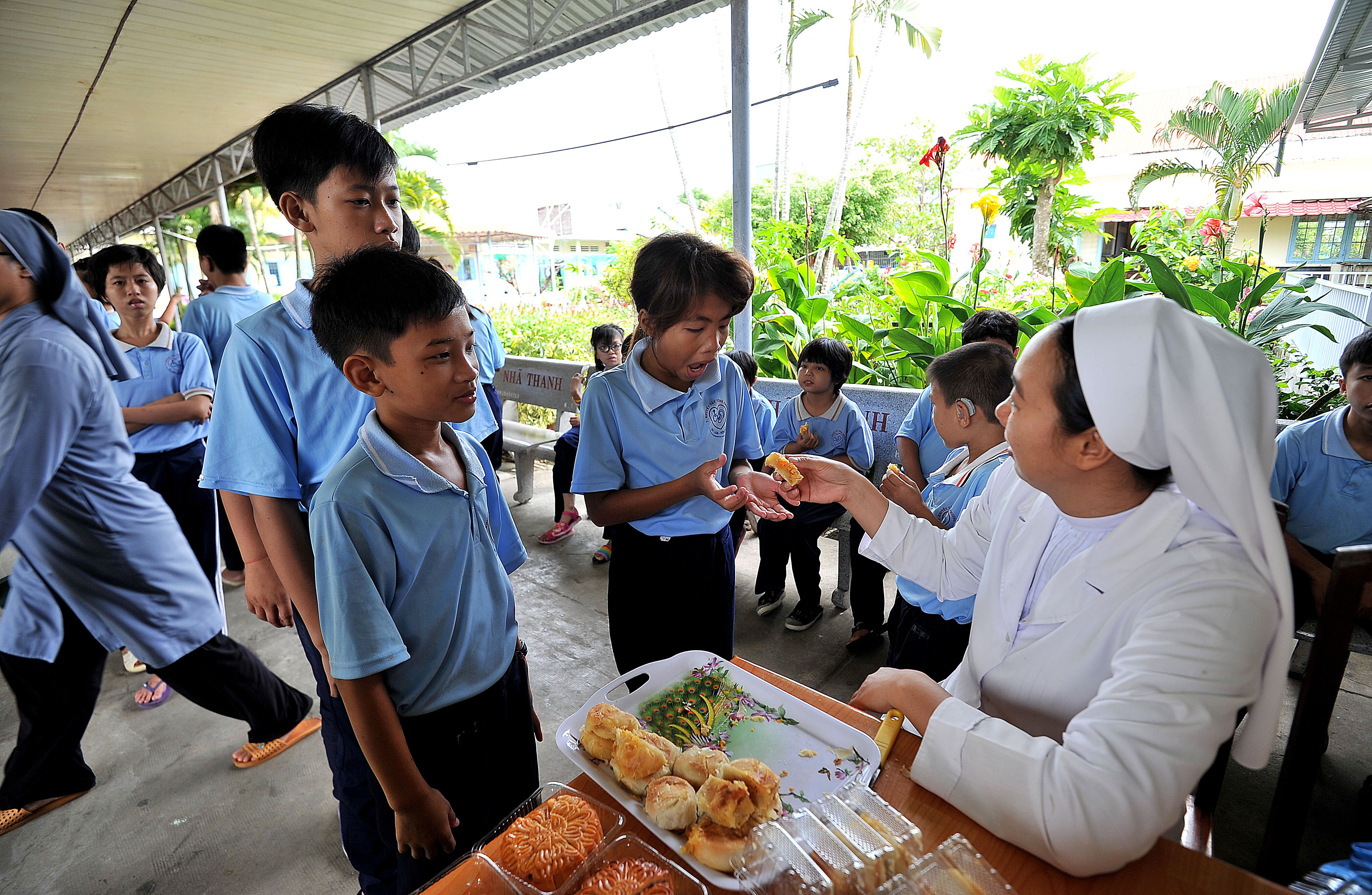 co be mat xanh o Kien Giang anh 21