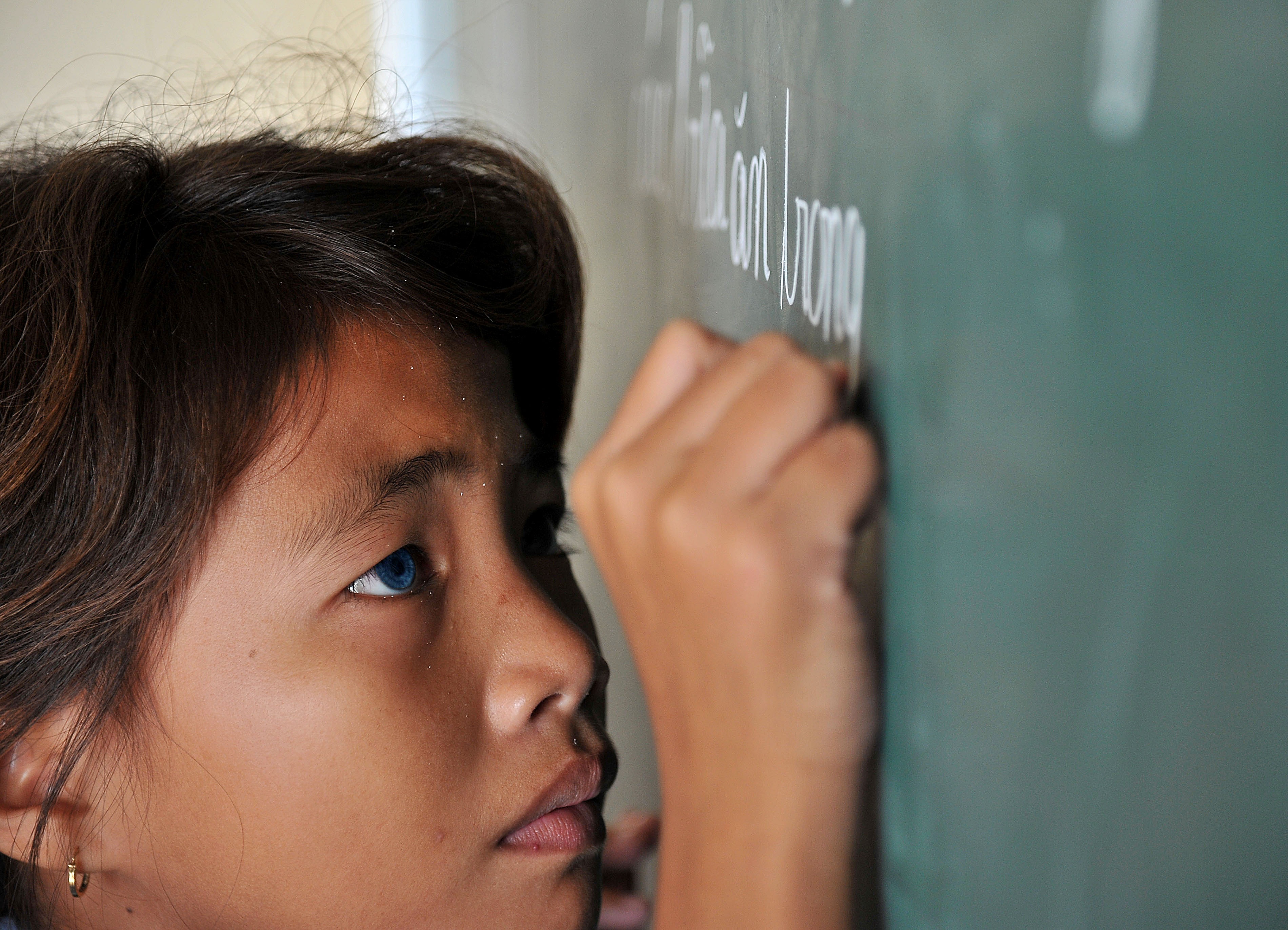 co be mat xanh o Kien Giang anh 5