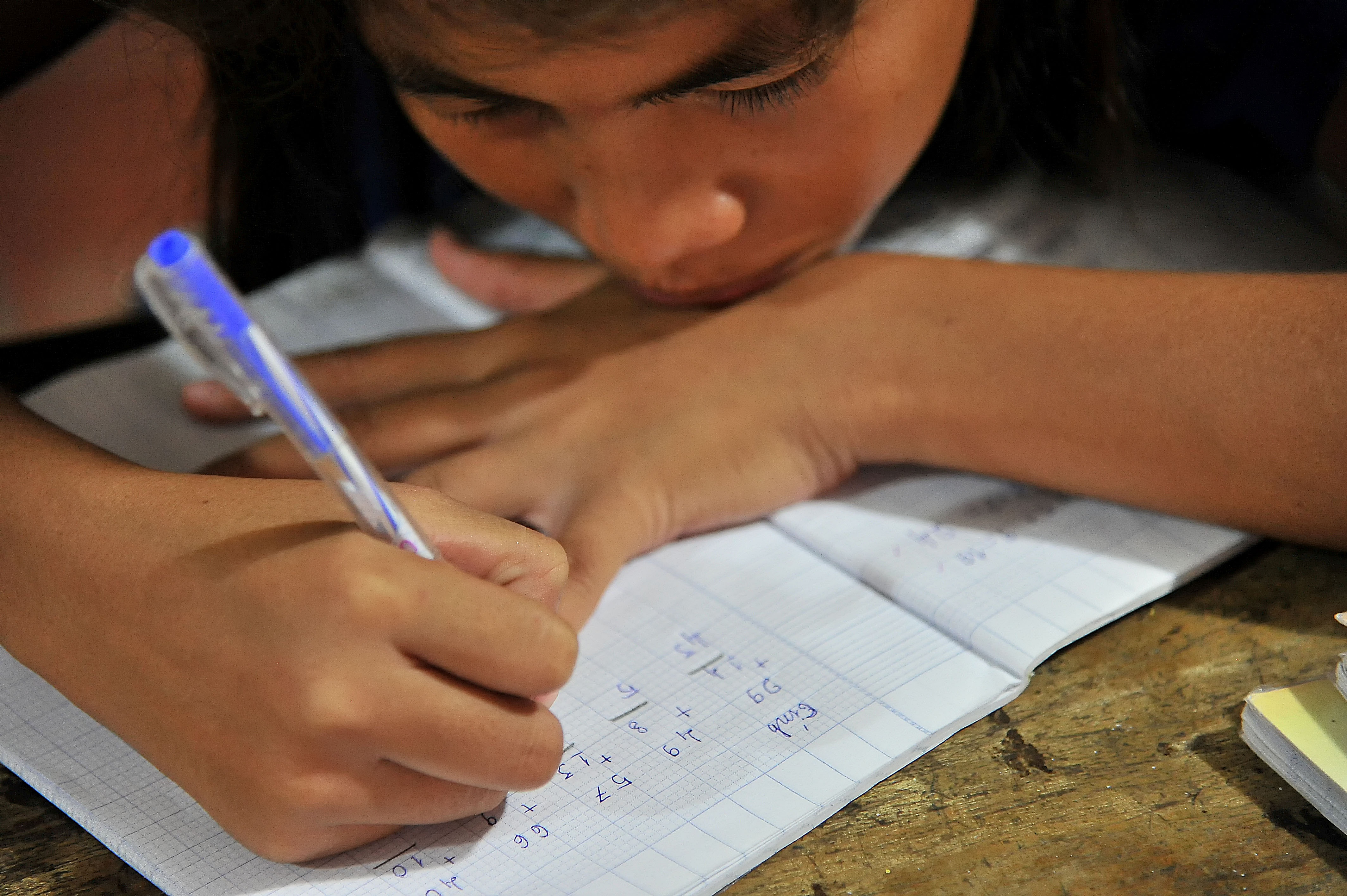 co be mat xanh o Kien Giang anh 9