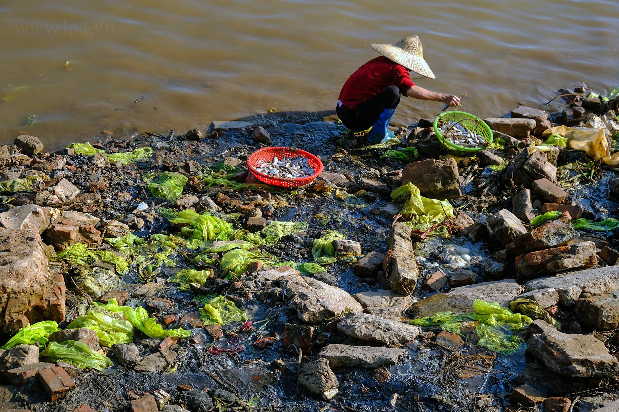 hanh trinh san rac ven bien anh 14