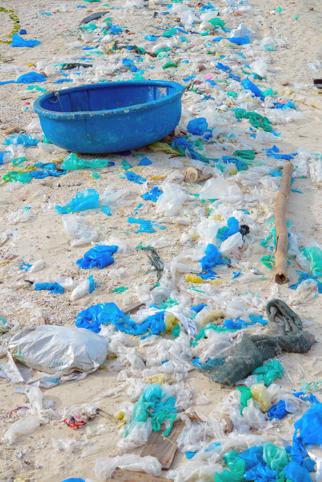 hanh trinh san rac ven bien anh 32