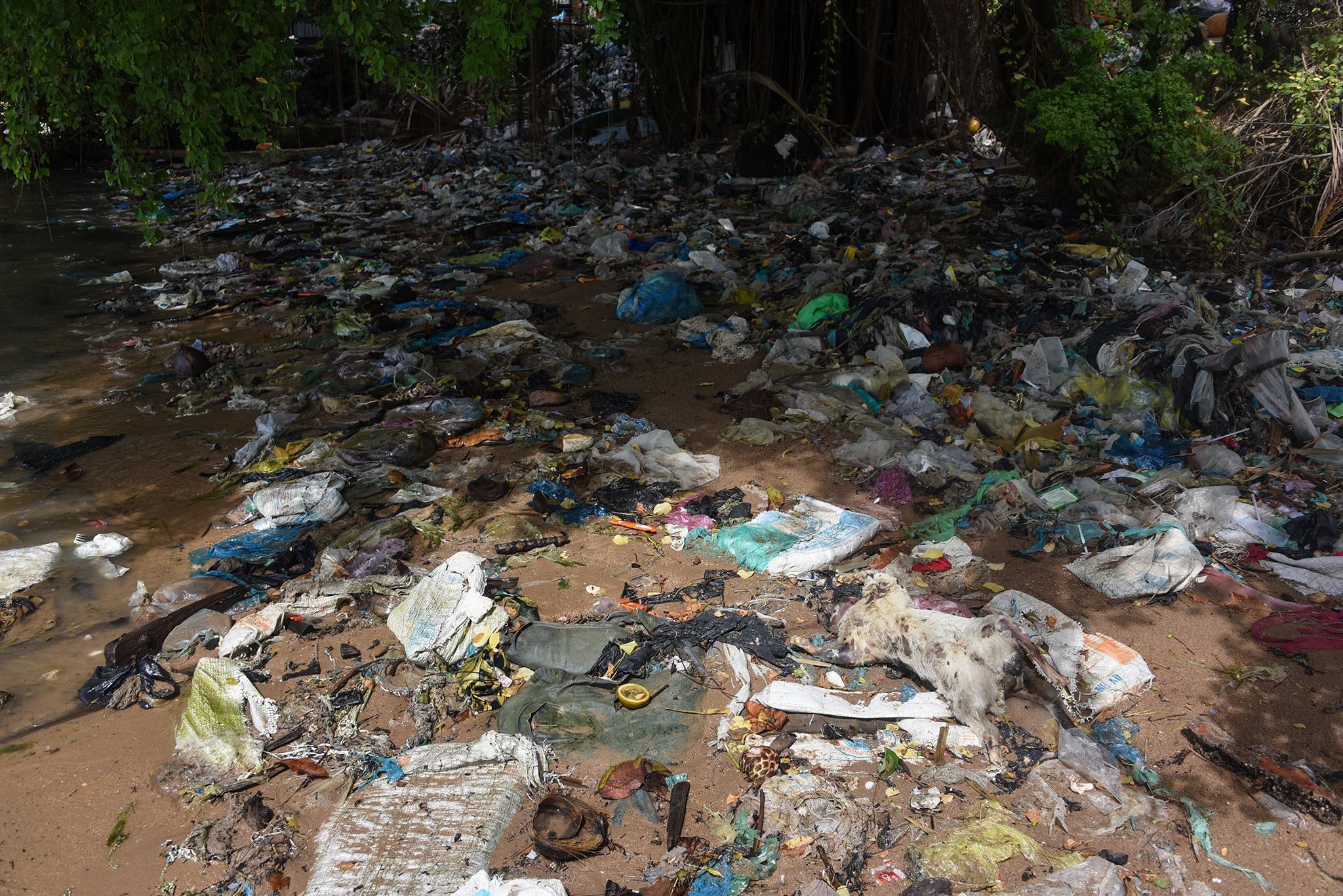 hanh trinh san rac ven bien anh 36