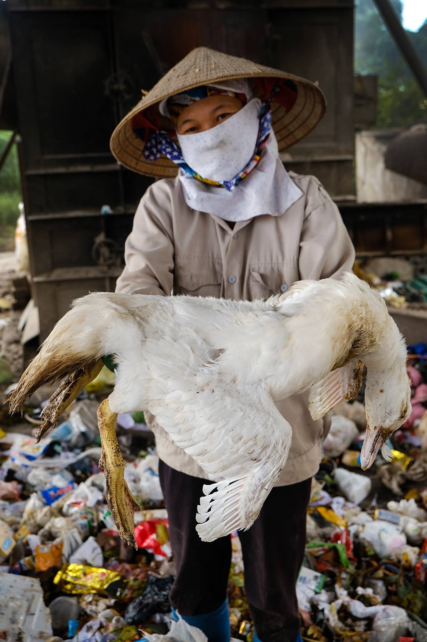 hanh trinh san rac ven bien anh 40