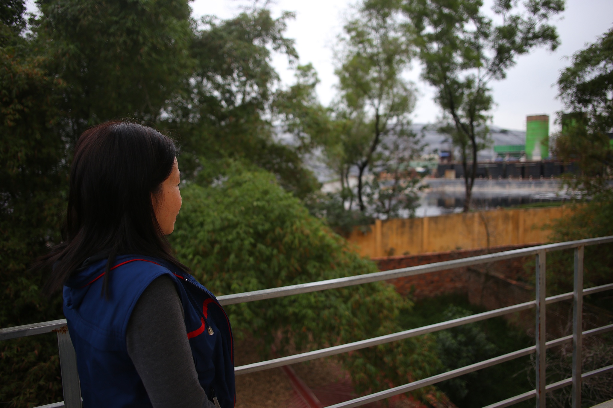 bai rac Nam Son o Soc Son anh 3