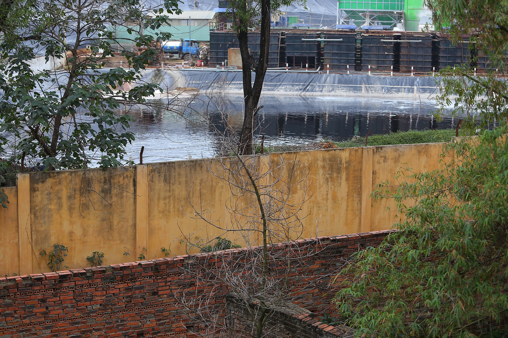 bai rac Nam Son o Soc Son anh 4