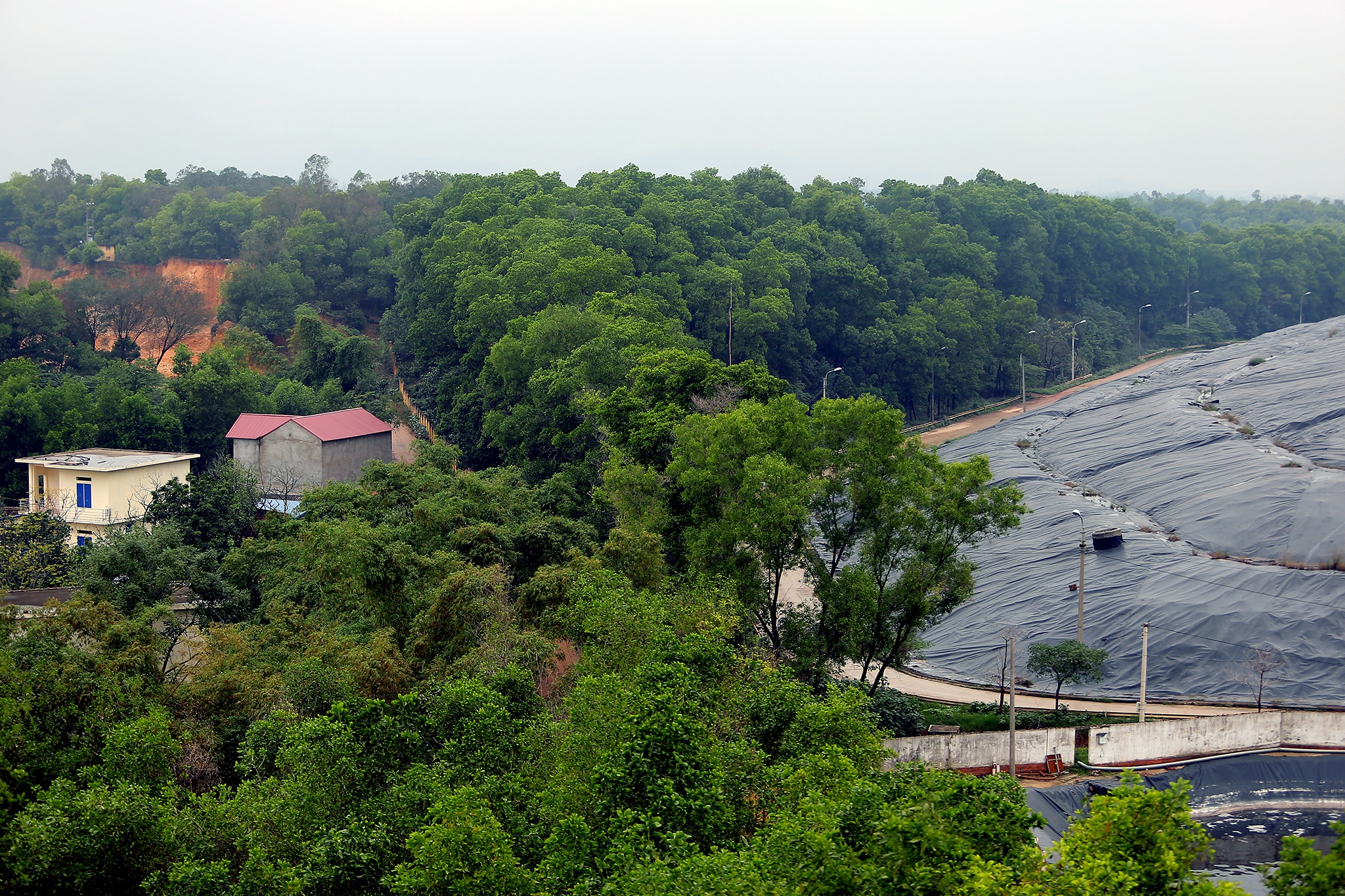 bai rac Nam Son o Soc Son anh 1