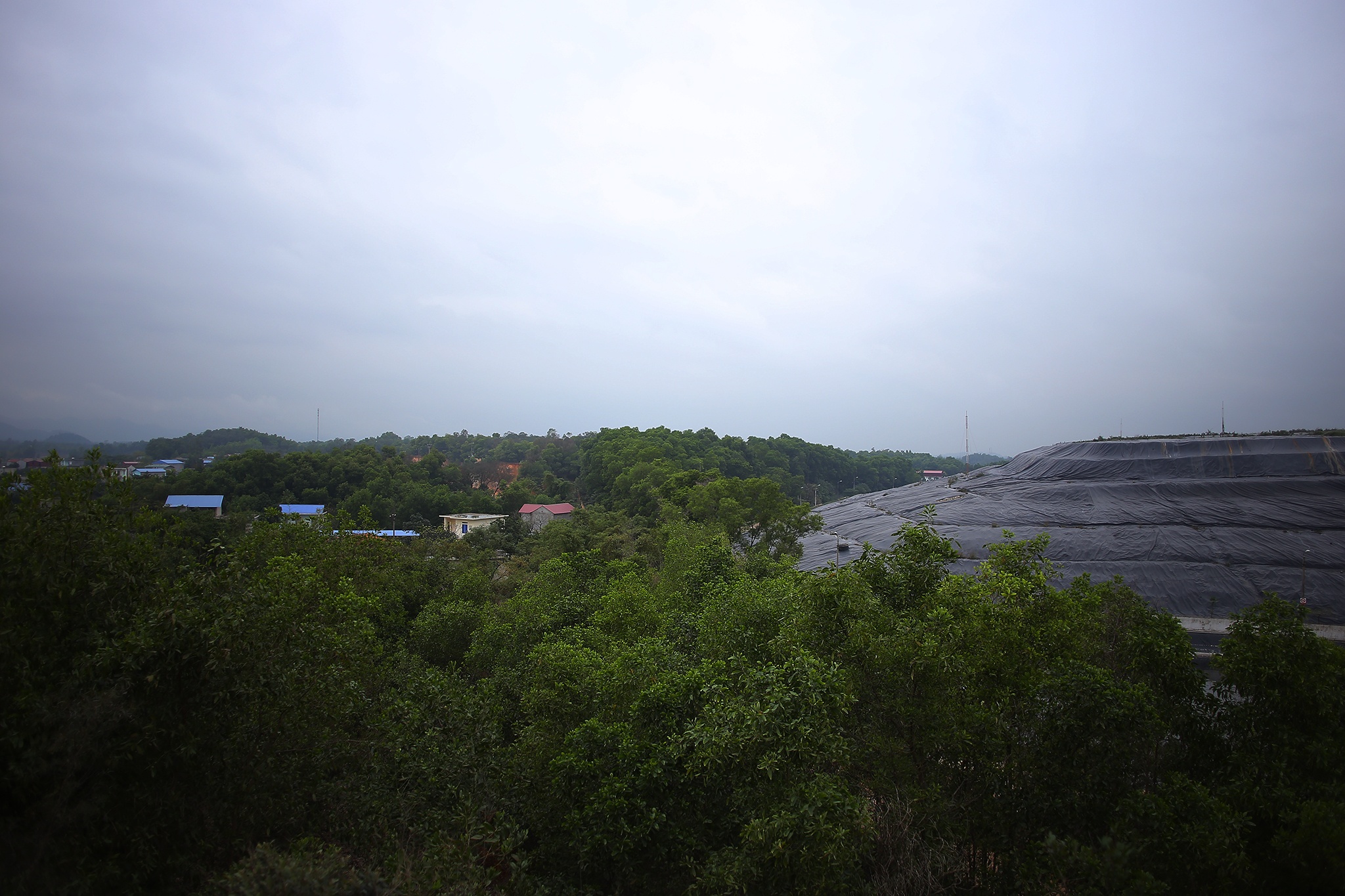 bai rac Nam Son o Soc Son anh 2