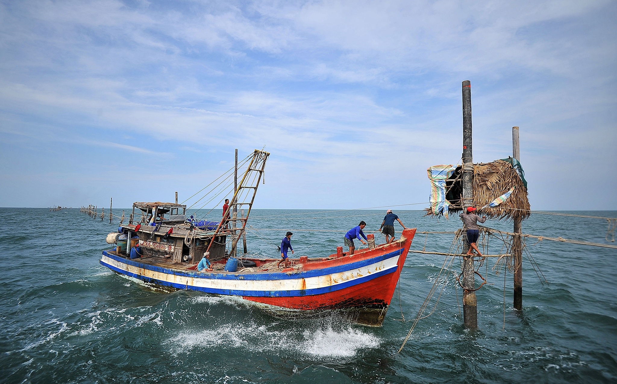 Day hang khoi anh 26