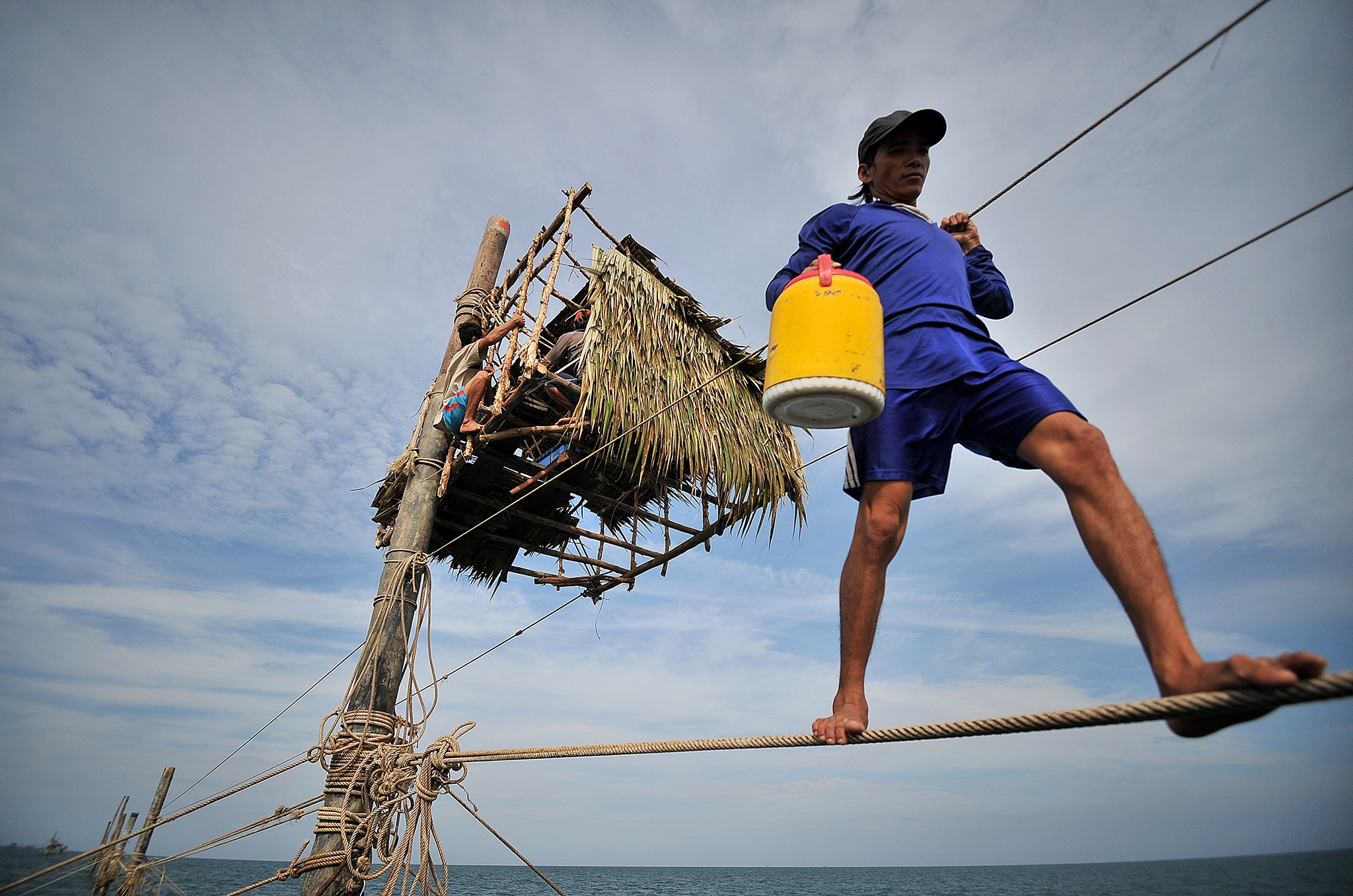'Nguoi nhen' o vung bien cuc nam To quoc hinh anh