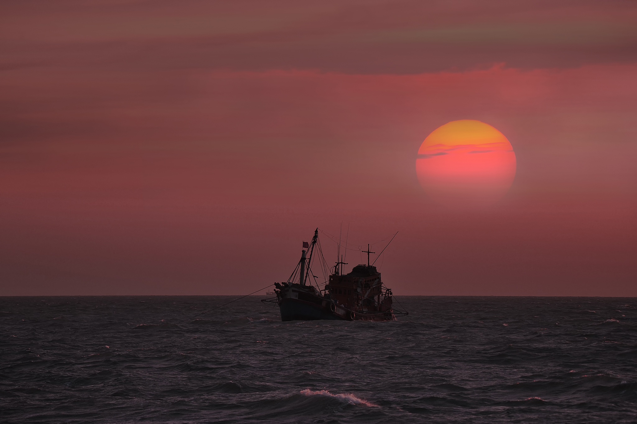 Day hang khoi anh 46