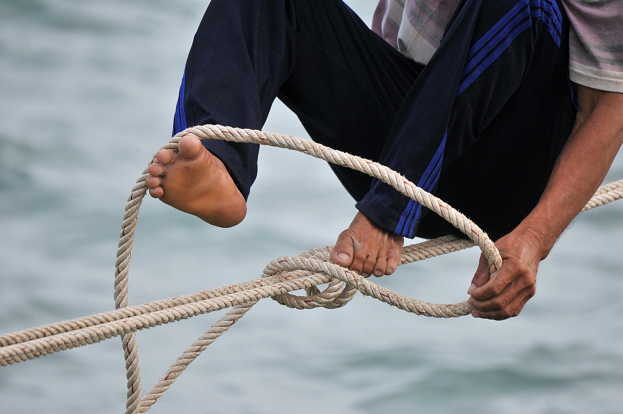 Day hang khoi anh 33