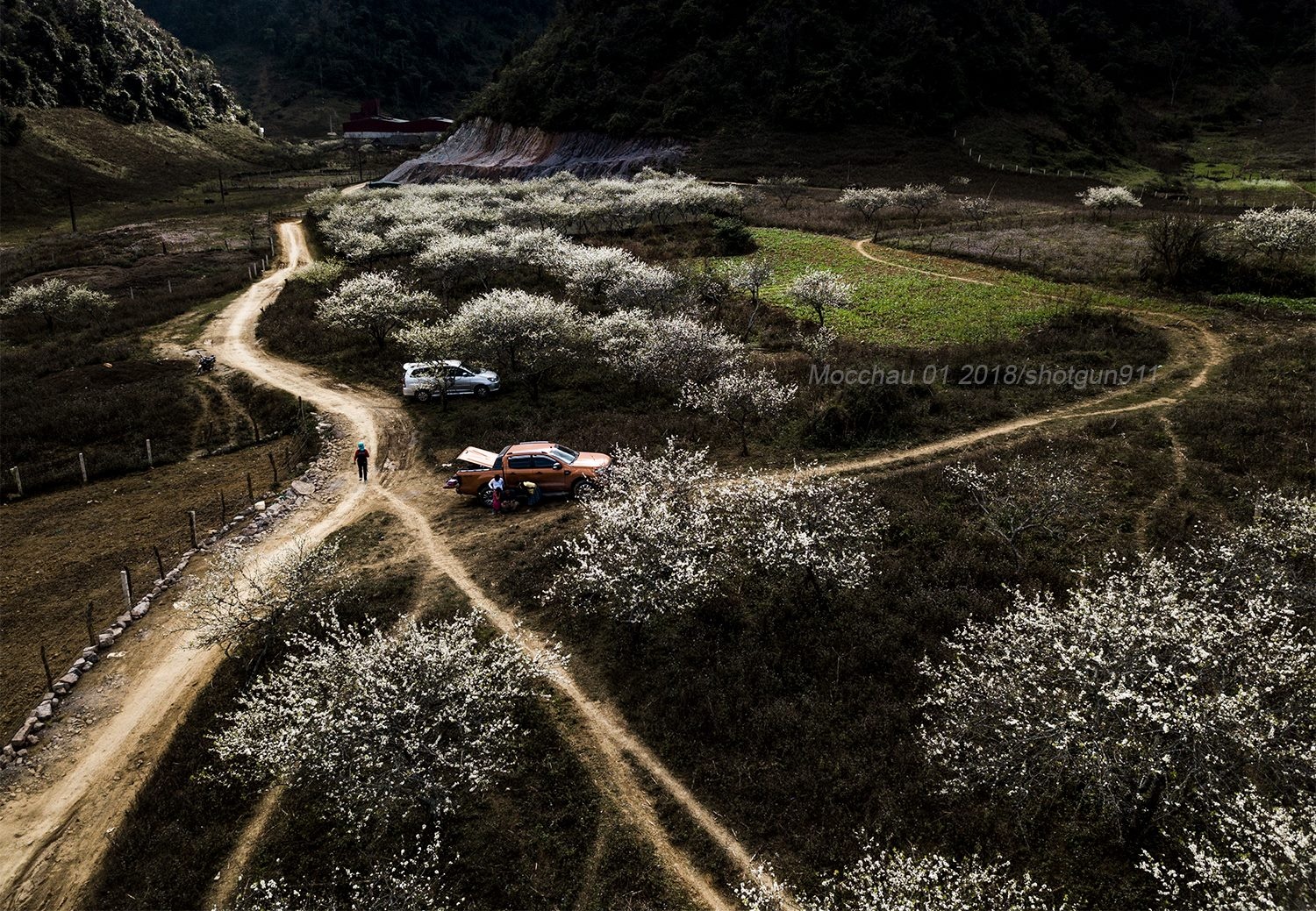 hoa xuan moi mien To quoc anh 9