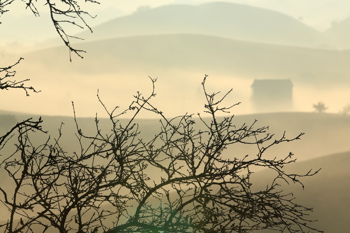 hoa xuan moi mien To quoc anh 22