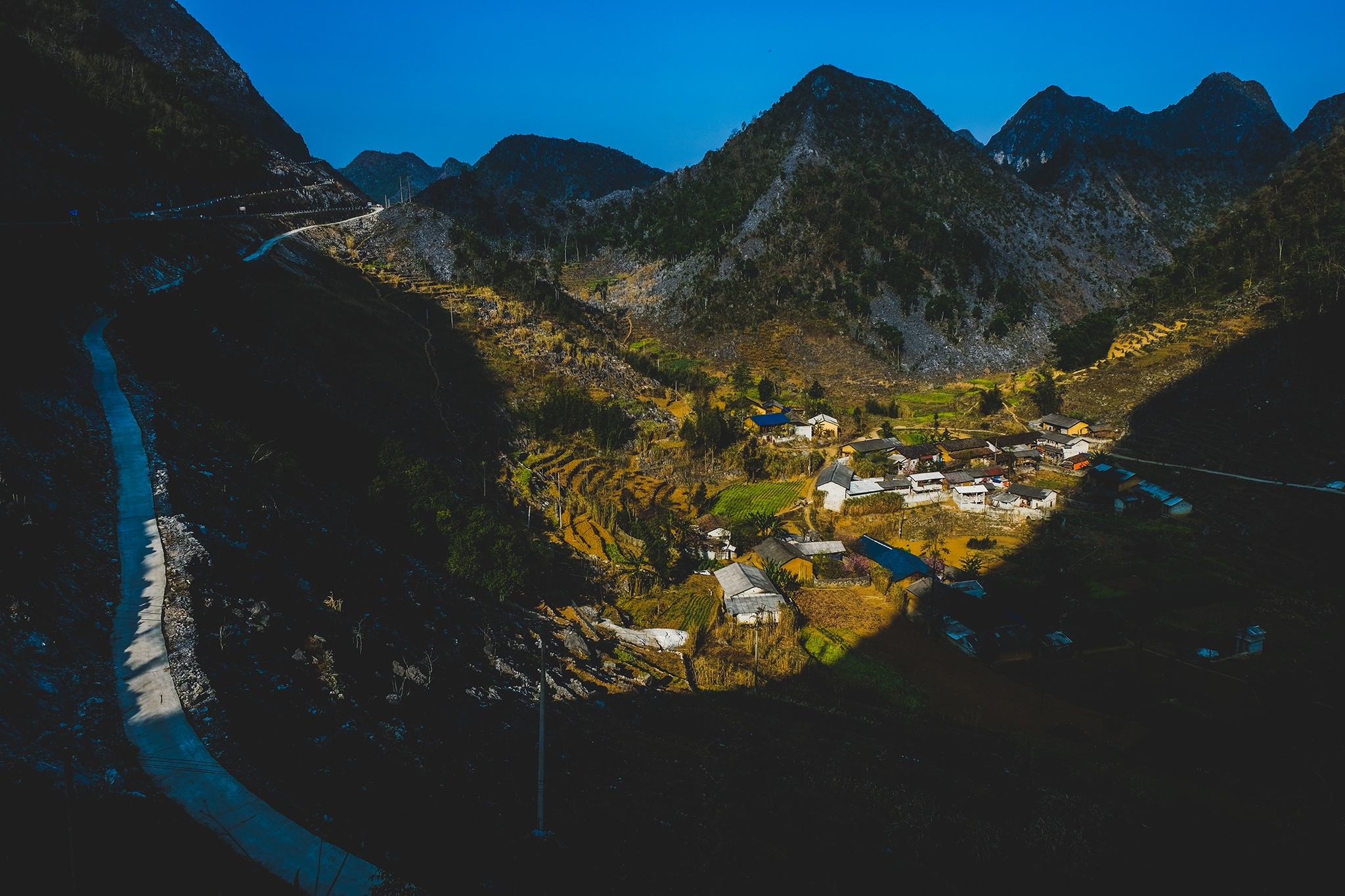 hoa xuan moi mien To quoc anh 50