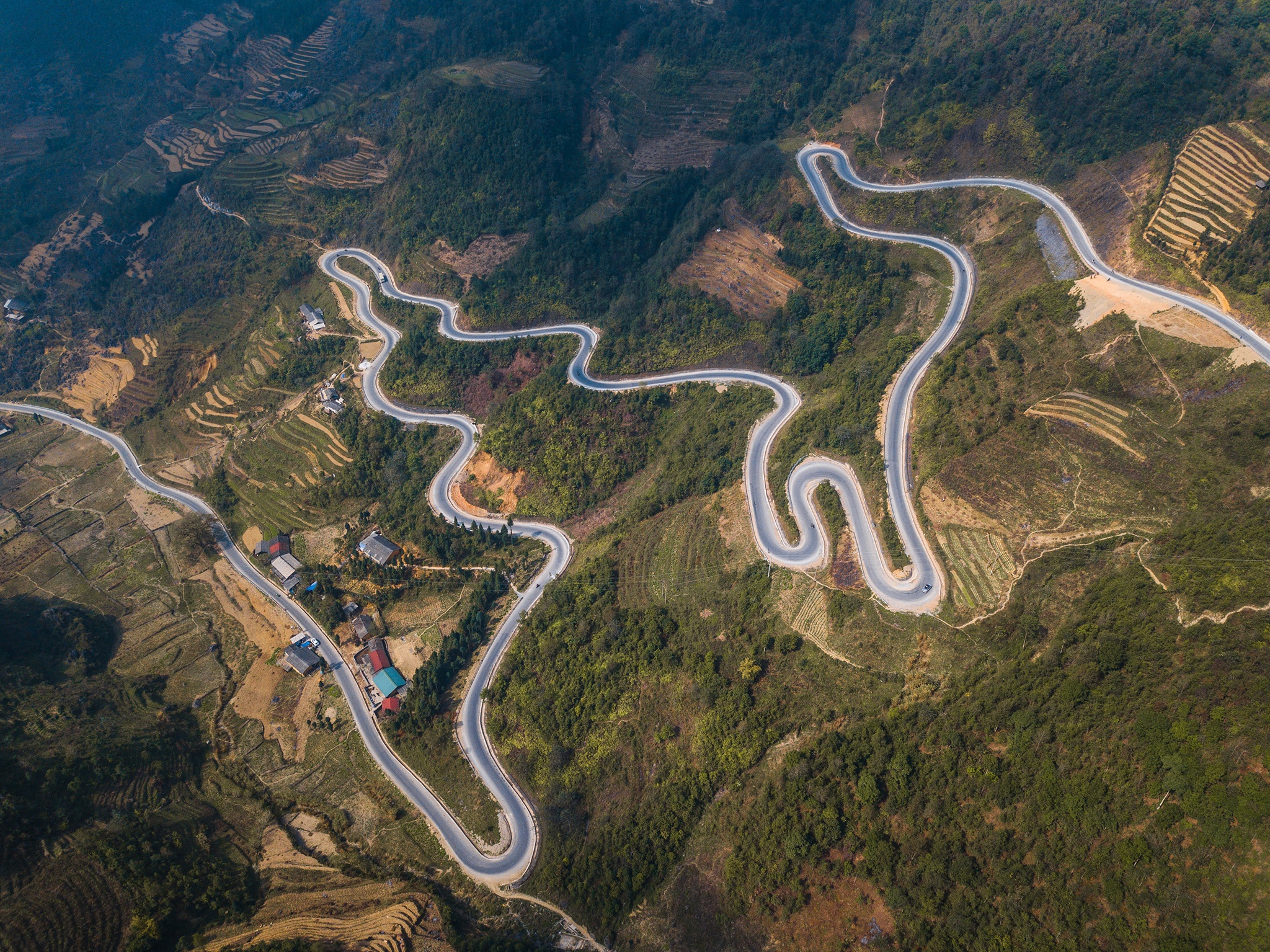 hoa xuan moi mien To quoc anh 49