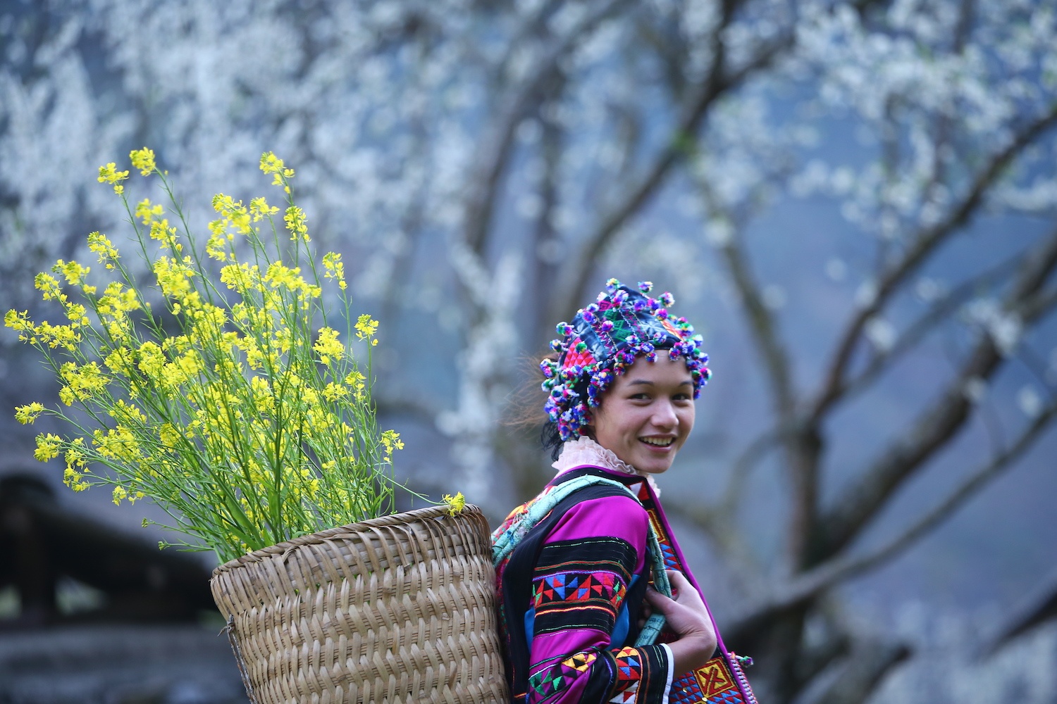 hoa xuan moi mien To quoc anh 97