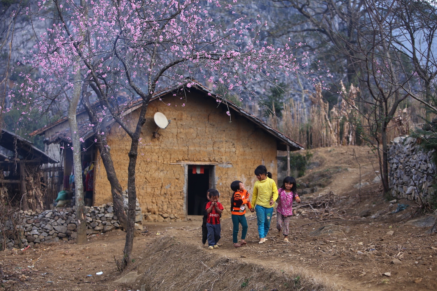 hoa xuan moi mien To quoc anh 88