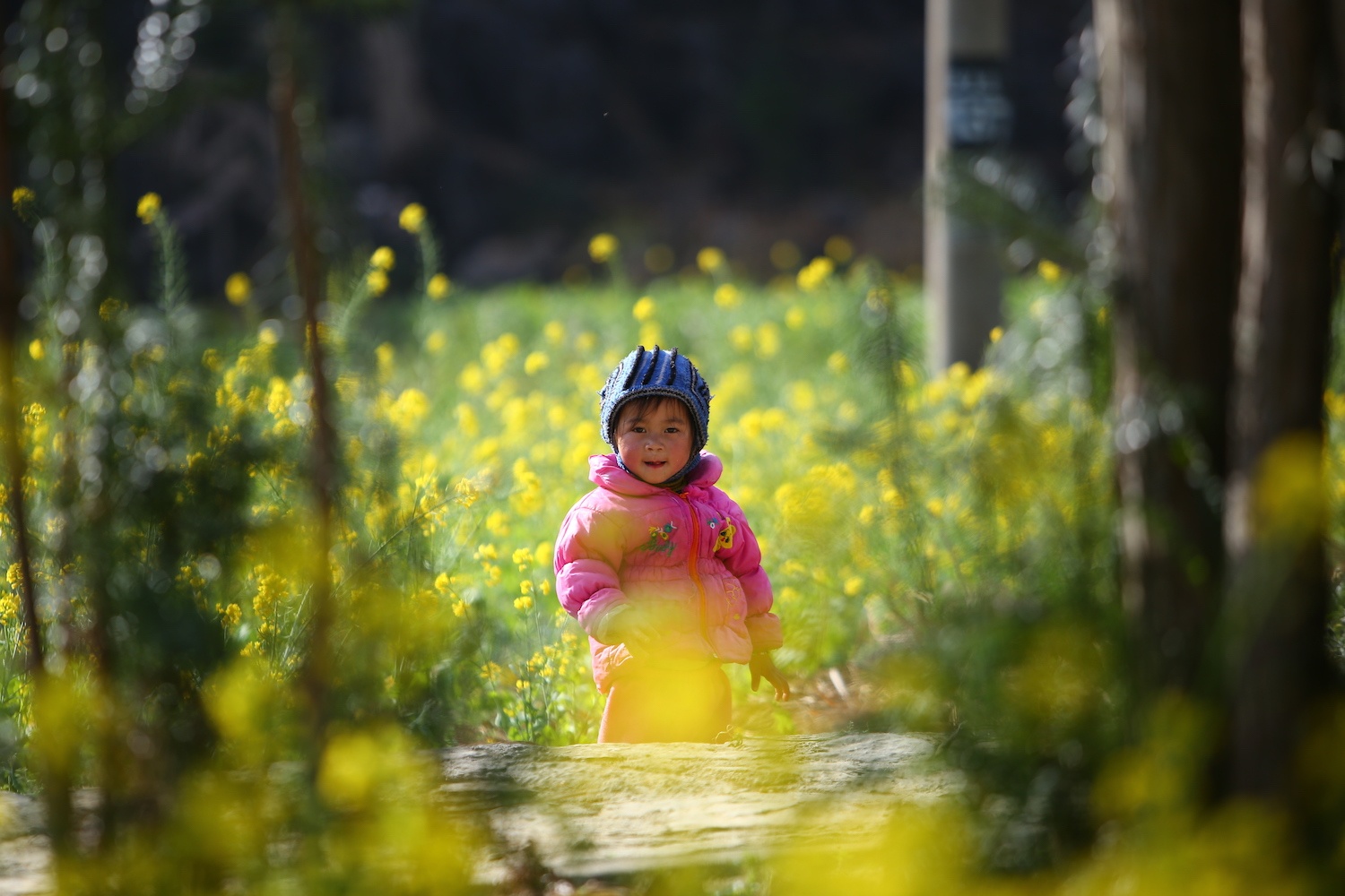 hoa xuan moi mien To quoc anh 89