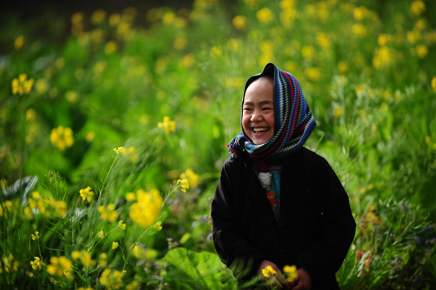 hoa xuan moi mien To quoc anh 91