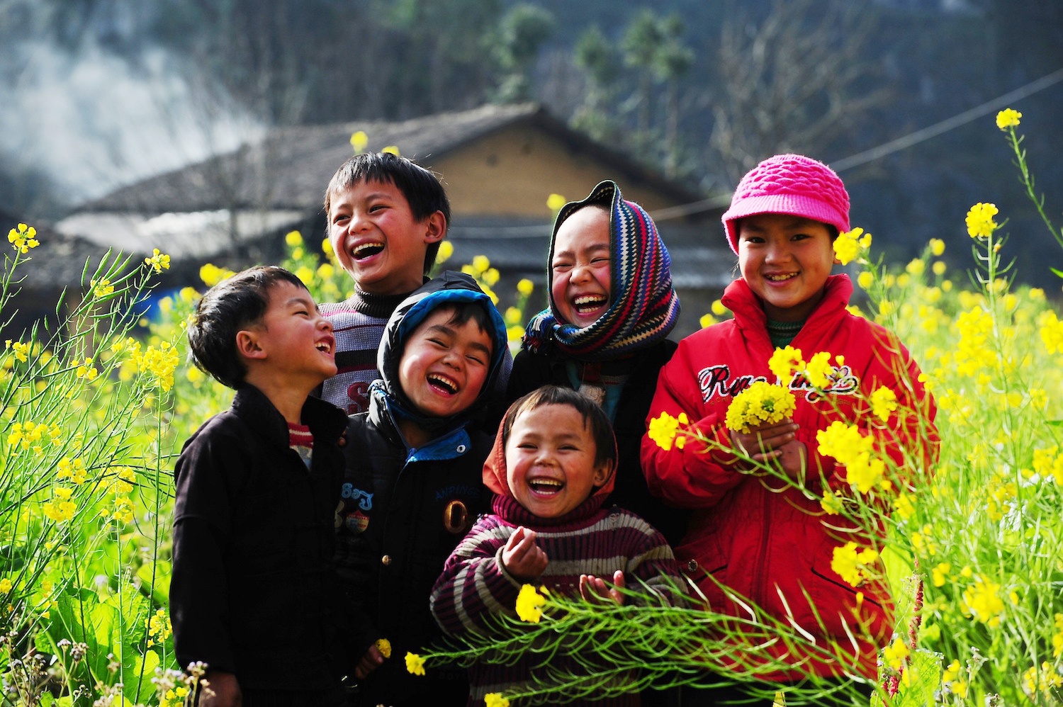 hoa xuan moi mien To quoc anh 92