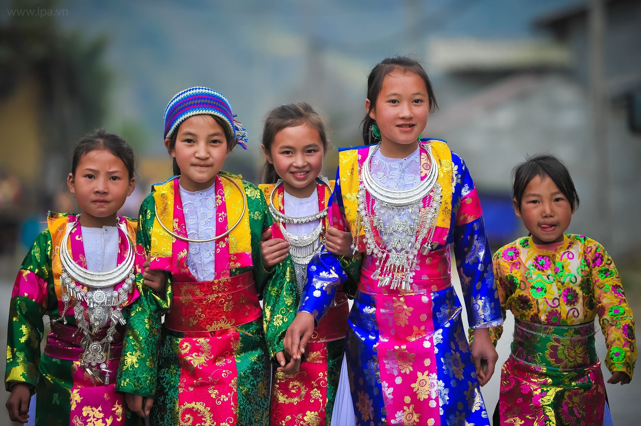 hoa xuan moi mien To quoc anh 85