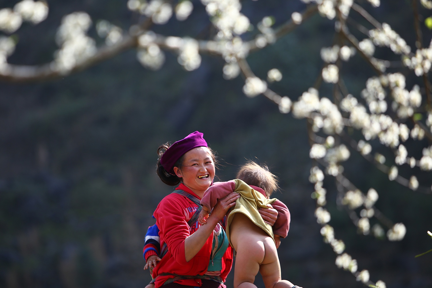 hoa xuan moi mien To quoc anh 87