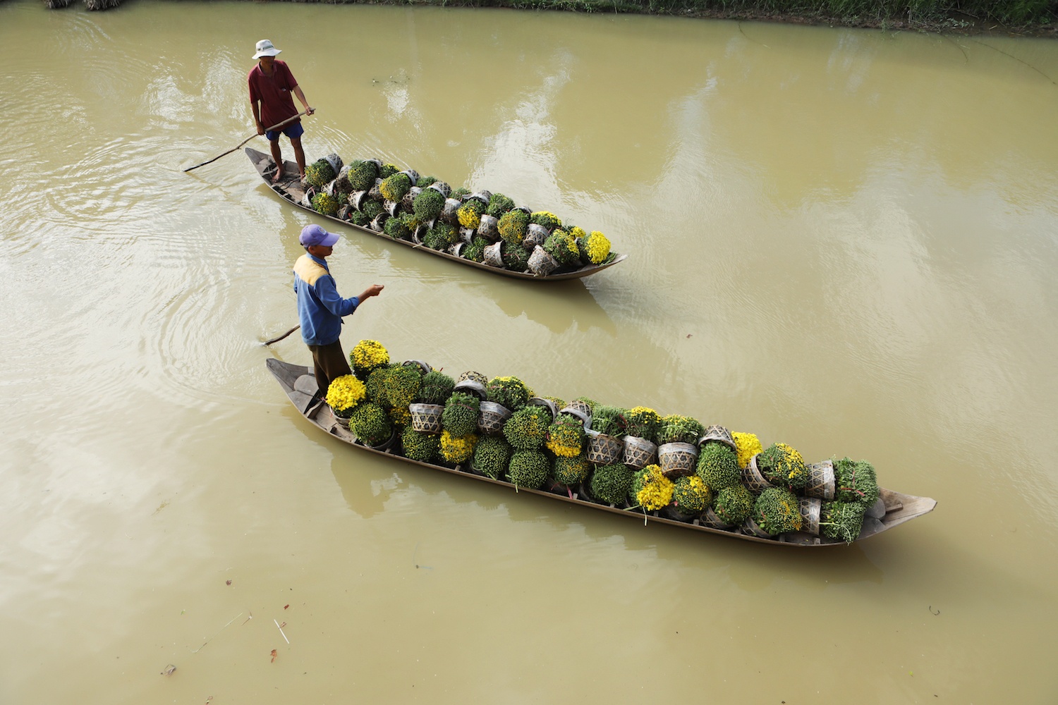 vuon hoa Sa Dec vao xuan anh 11