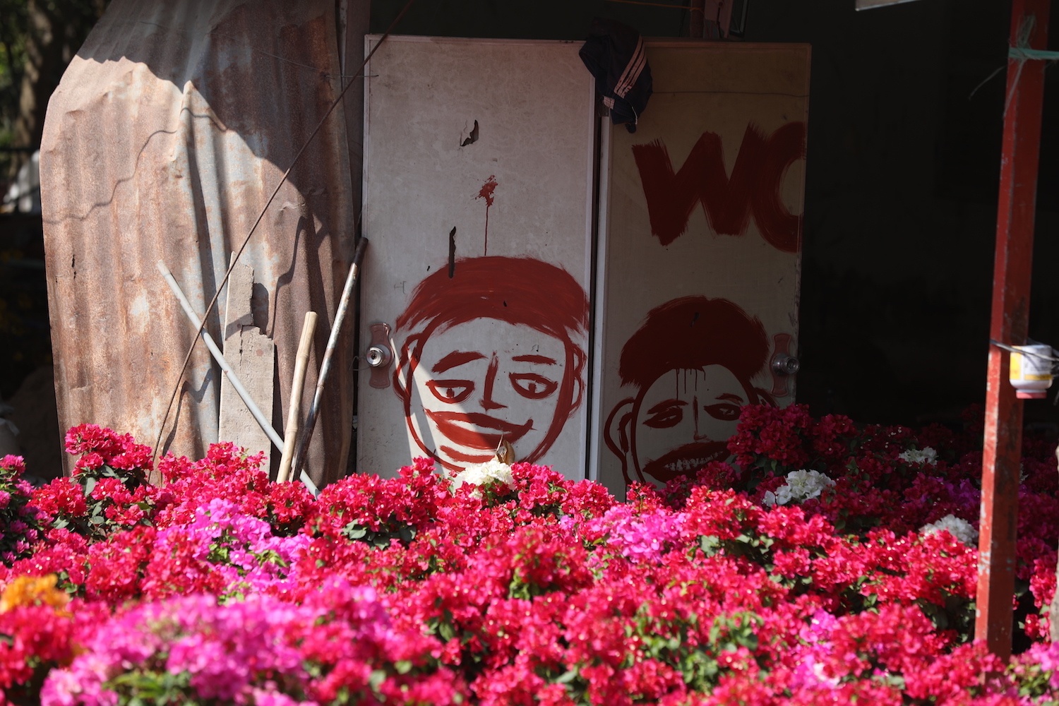 sac do hoa giay o mien Tay anh 25