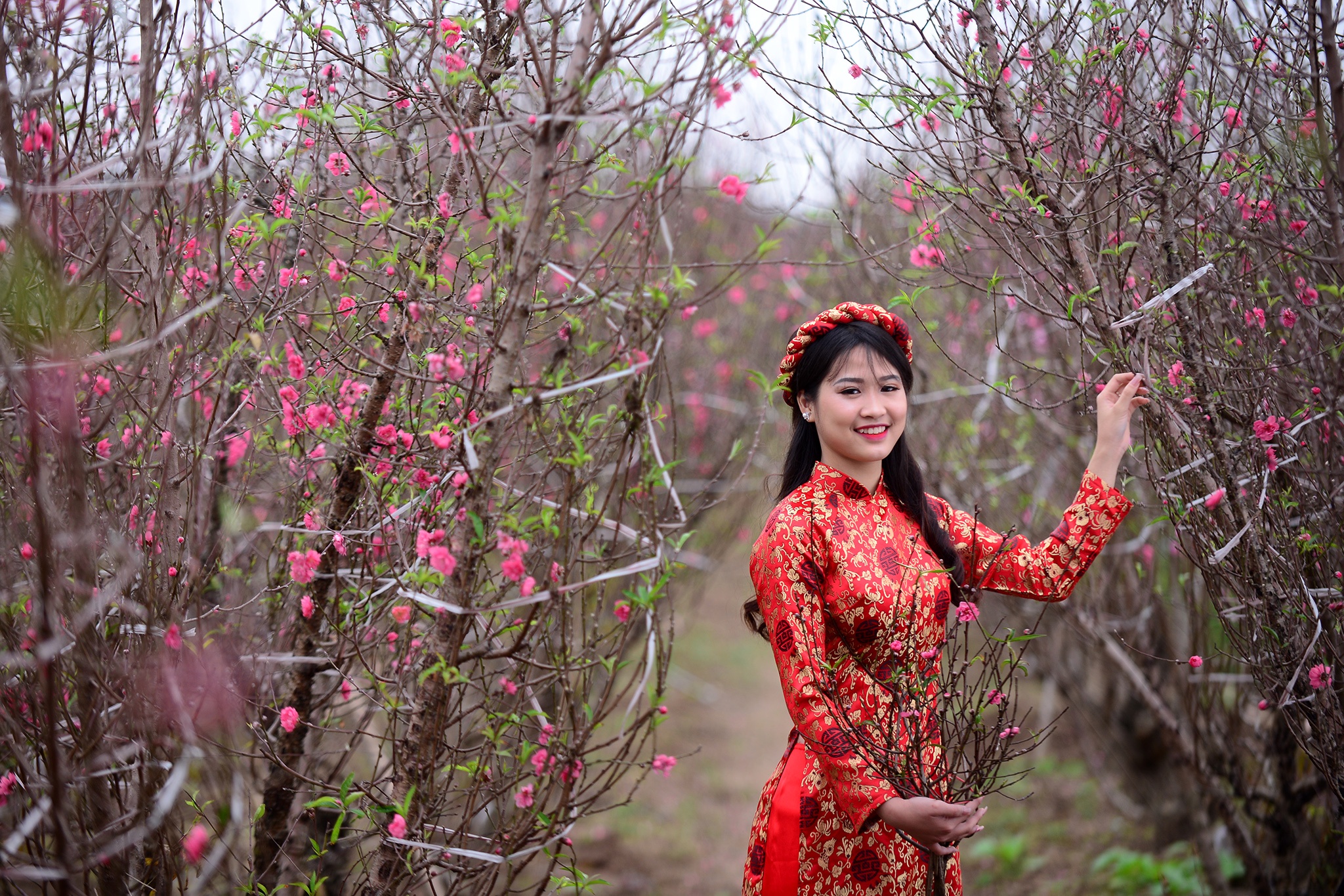 hoa dao dep o mien Bac anh 36