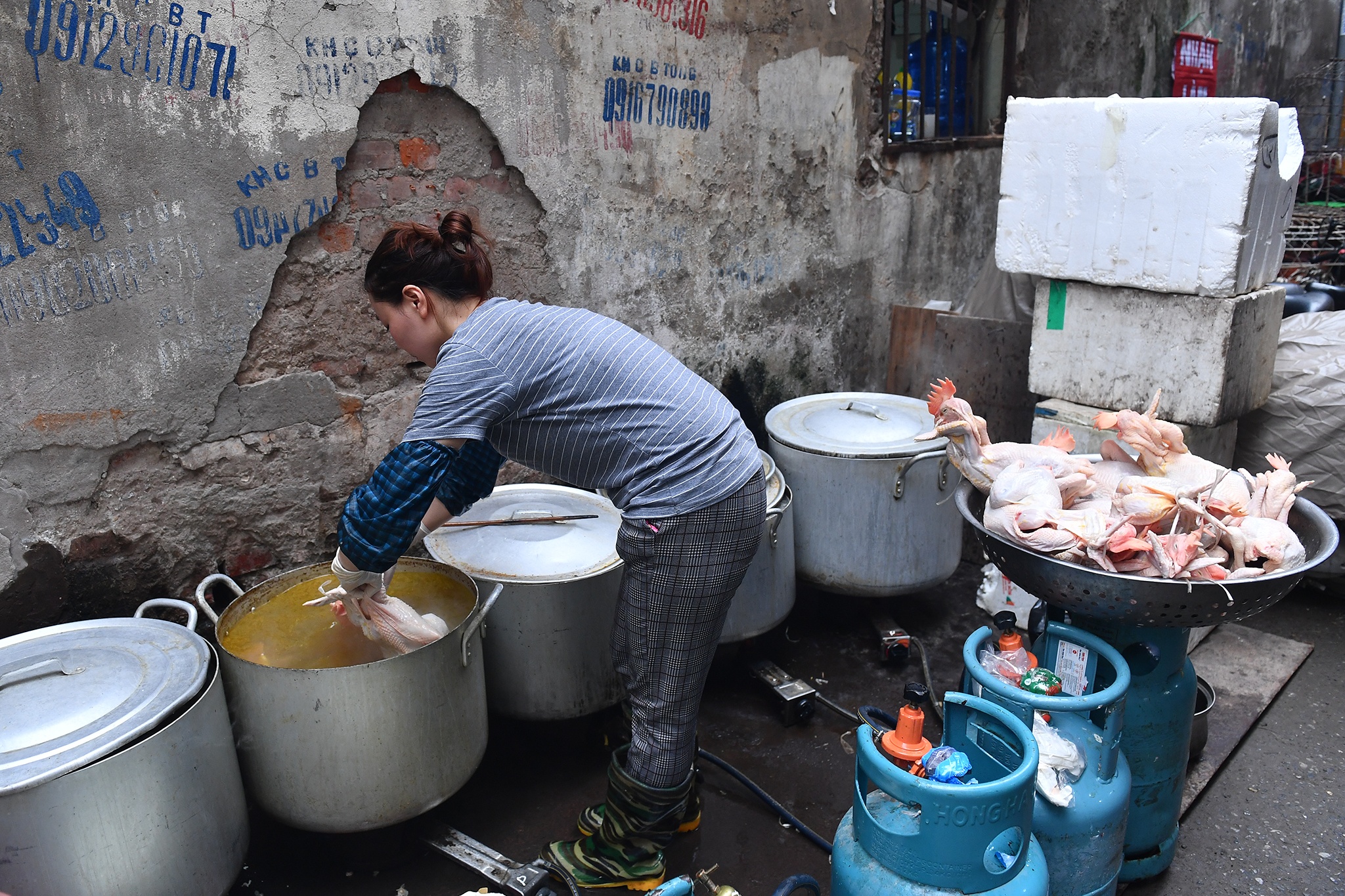 ga cung giao thua dat khach o Gia Ngu anh 7